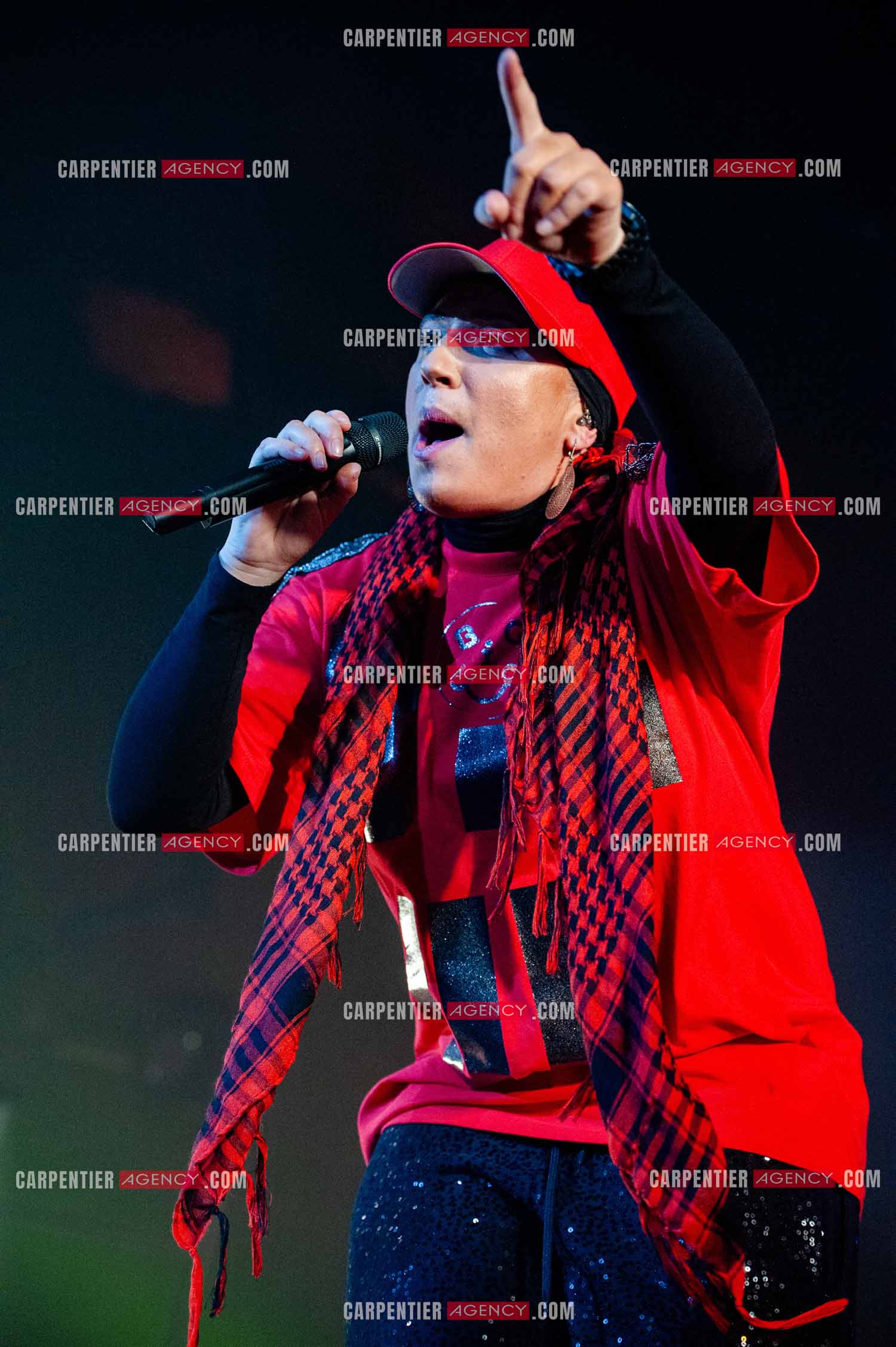 La chanteuse Diam's en concert au Zénith de Paris en 2010.    ( Exclusif )