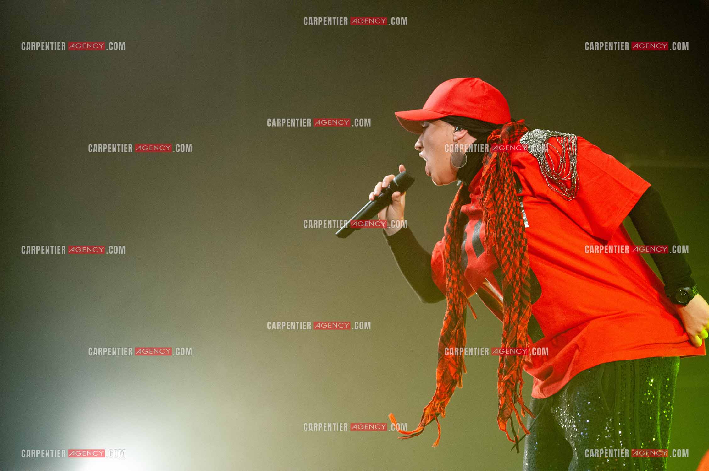 La chanteuse Diam's en concert au Zénith de Paris en 2010.    ( Exclusif )