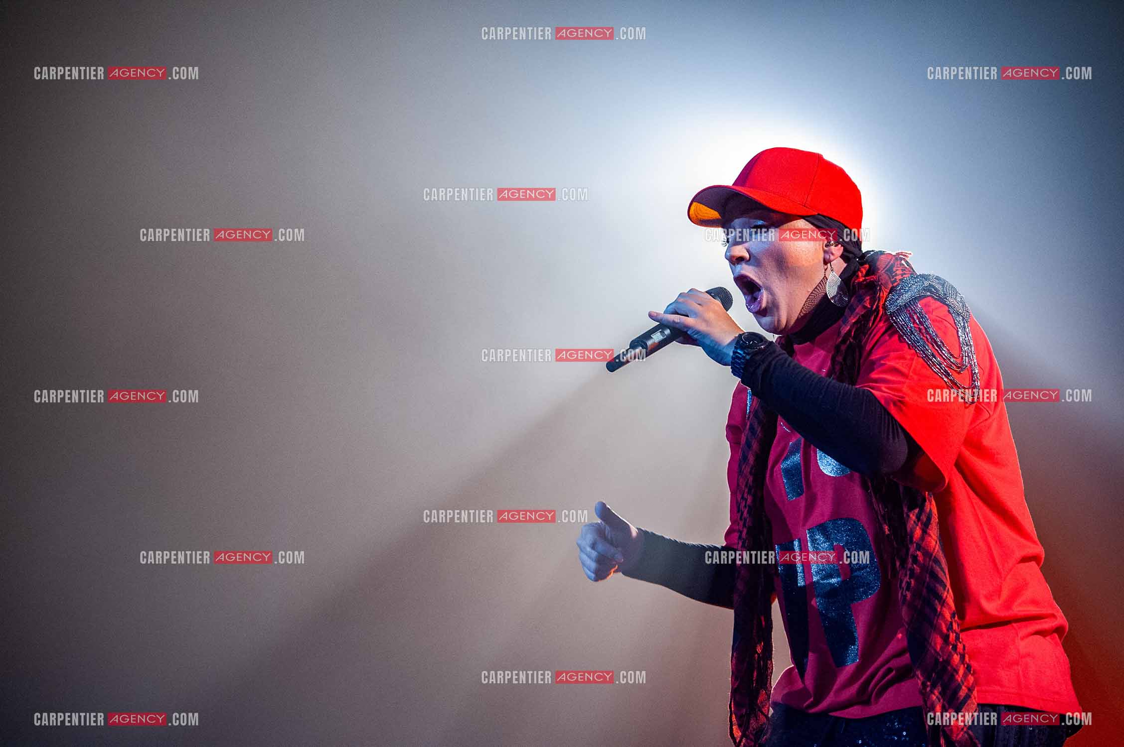 La chanteuse Diam's en concert au Zénith de Paris en 2010.    ( Exclusif )