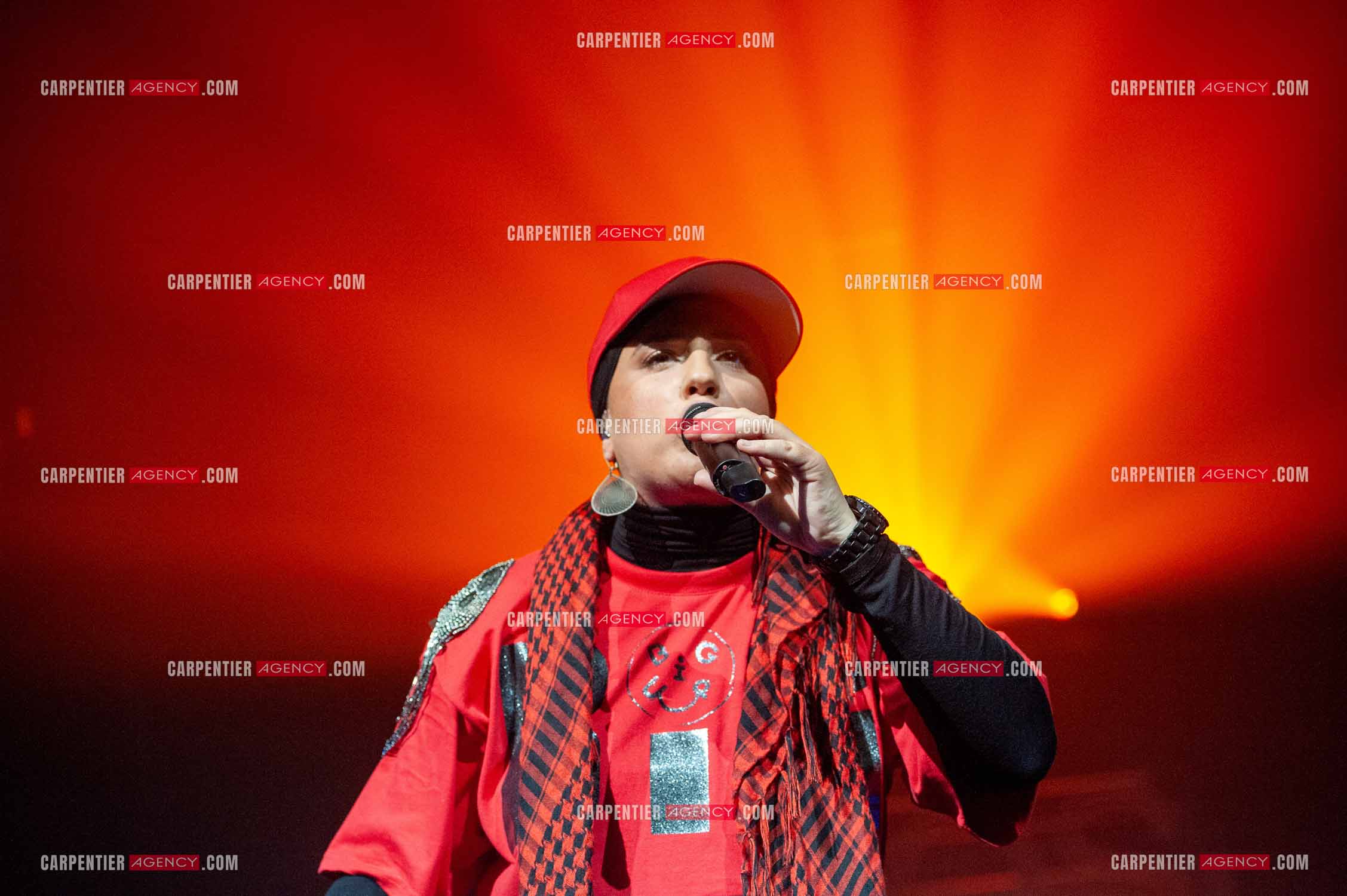 La chanteuse Diam's en concert au Zénith de Paris en 2010.    ( Exclusif )