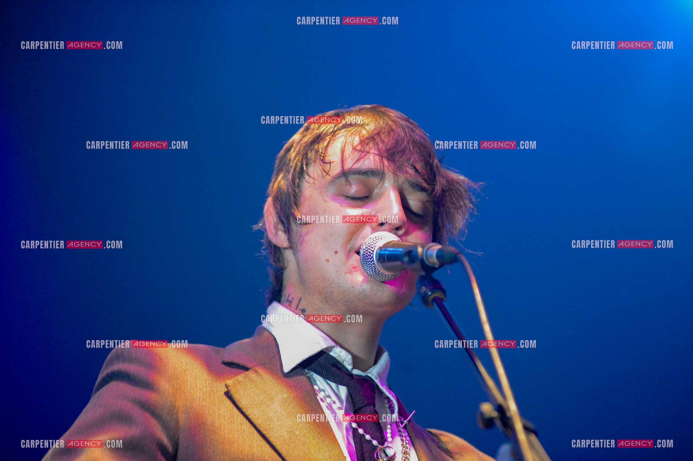 Le chanteur britannique Pete Doherty en concert au Zénith de Paris.