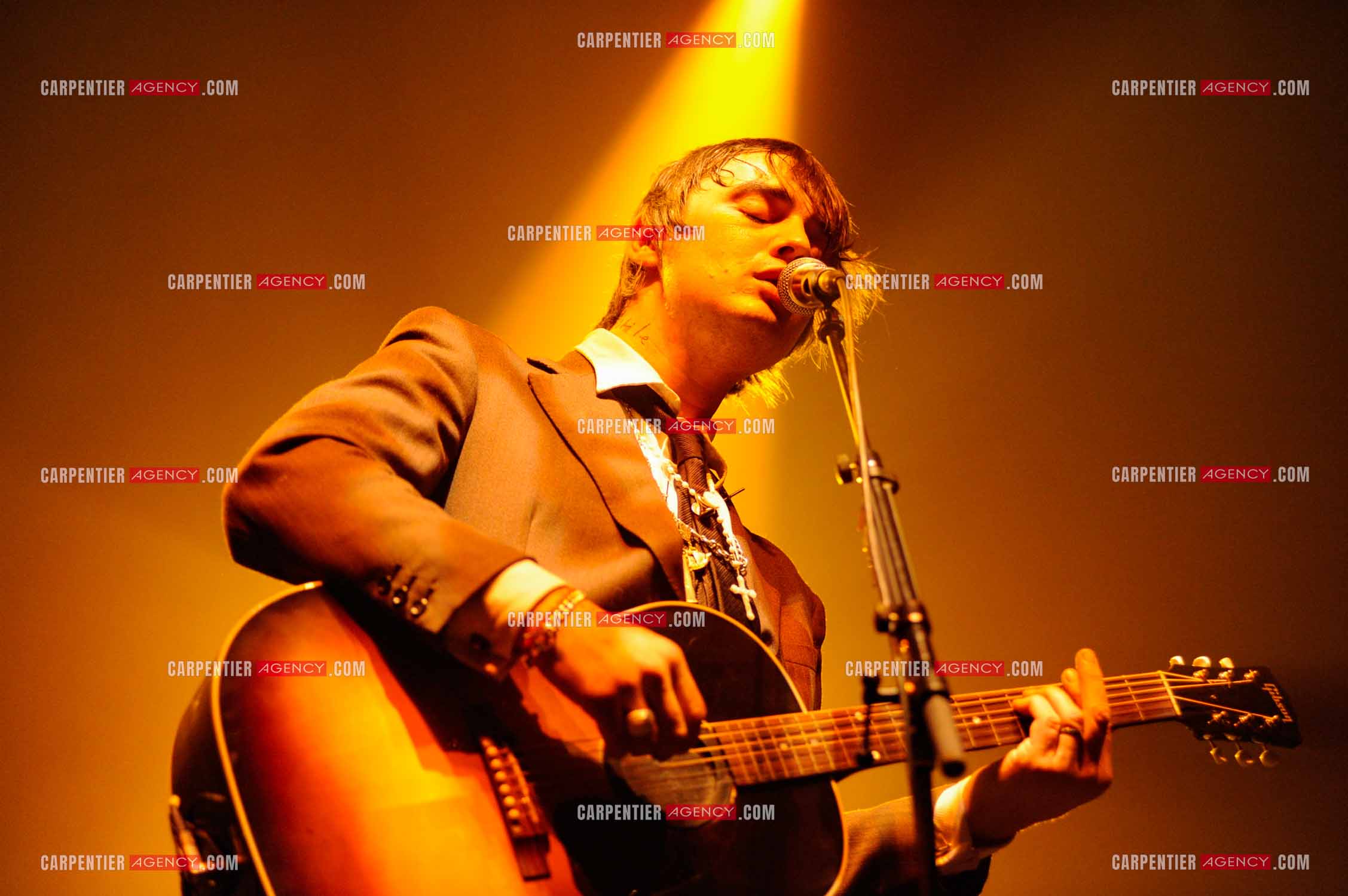 Le chanteur britannique Pete Doherty en concert au Zénith de Paris.