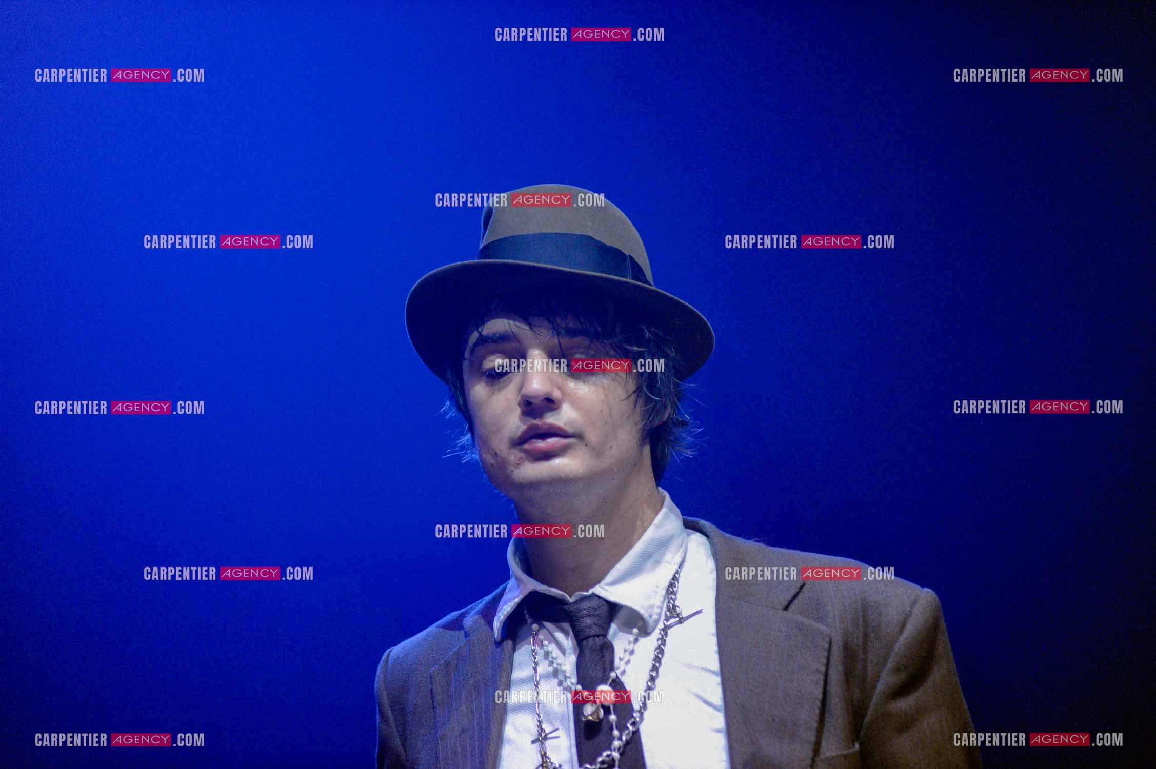 Le chanteur britannique Pete Doherty en concert au Zénith de Paris.