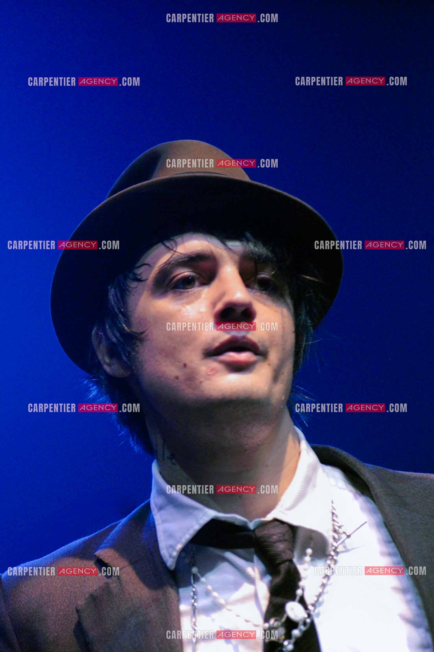 Le chanteur britannique Pete Doherty en concert au Zénith de Paris.