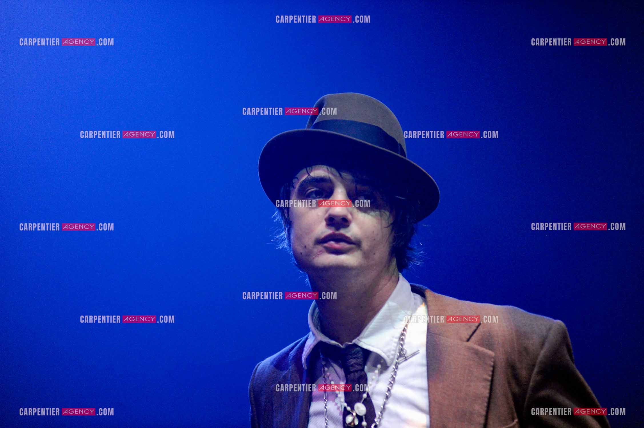 Le chanteur britannique Pete Doherty en concert au Zénith de Paris.