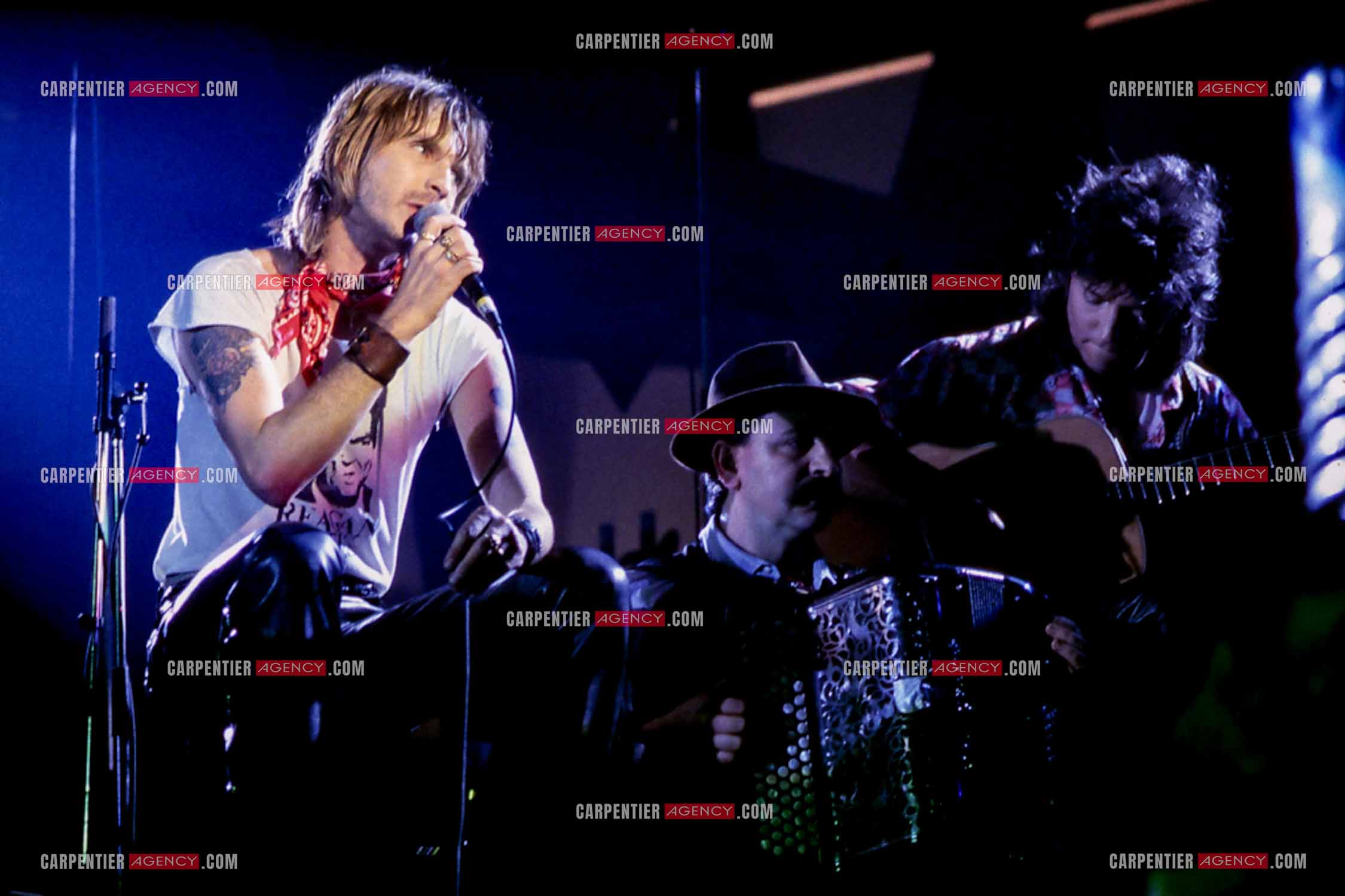 Le chanteur Renaud Séchan en concert.
