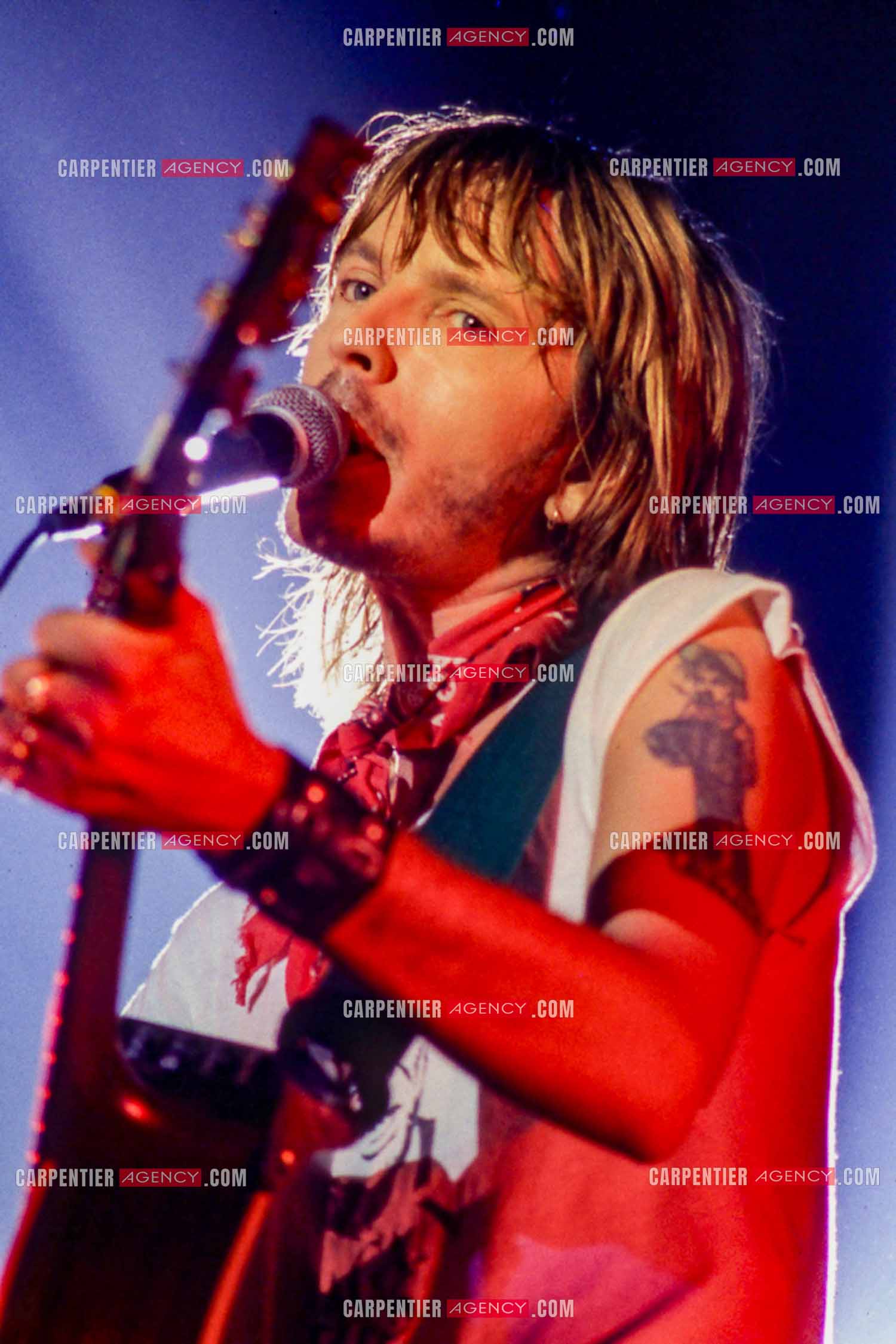 Le chanteur Renaud Séchan en concert.