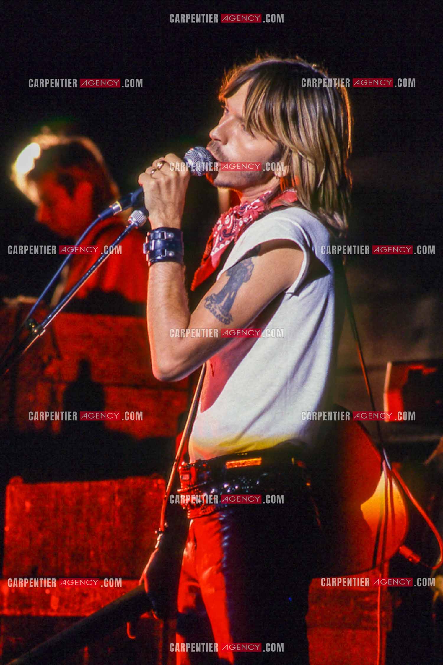 Le chanteur Renaud Séchan en concert.