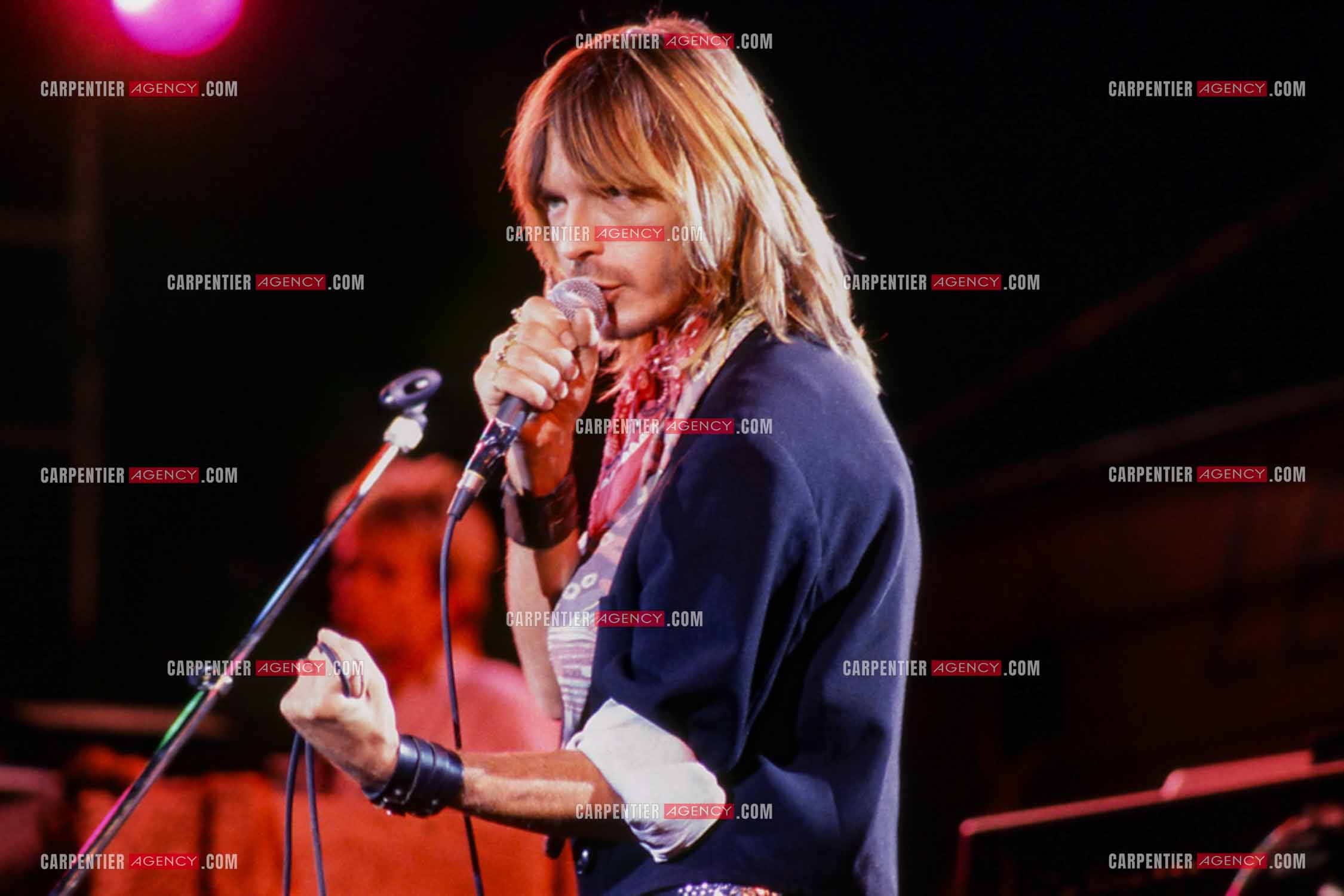 Le chanteur Renaud Séchan en concert.