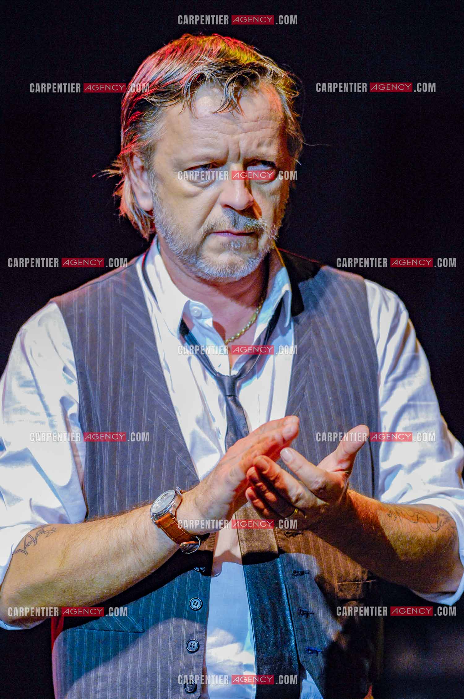 Le chanteur Renaud lors d'un concert de soutien au Zénith de Paris au profit de la libération d'Ingrid Betancourt.