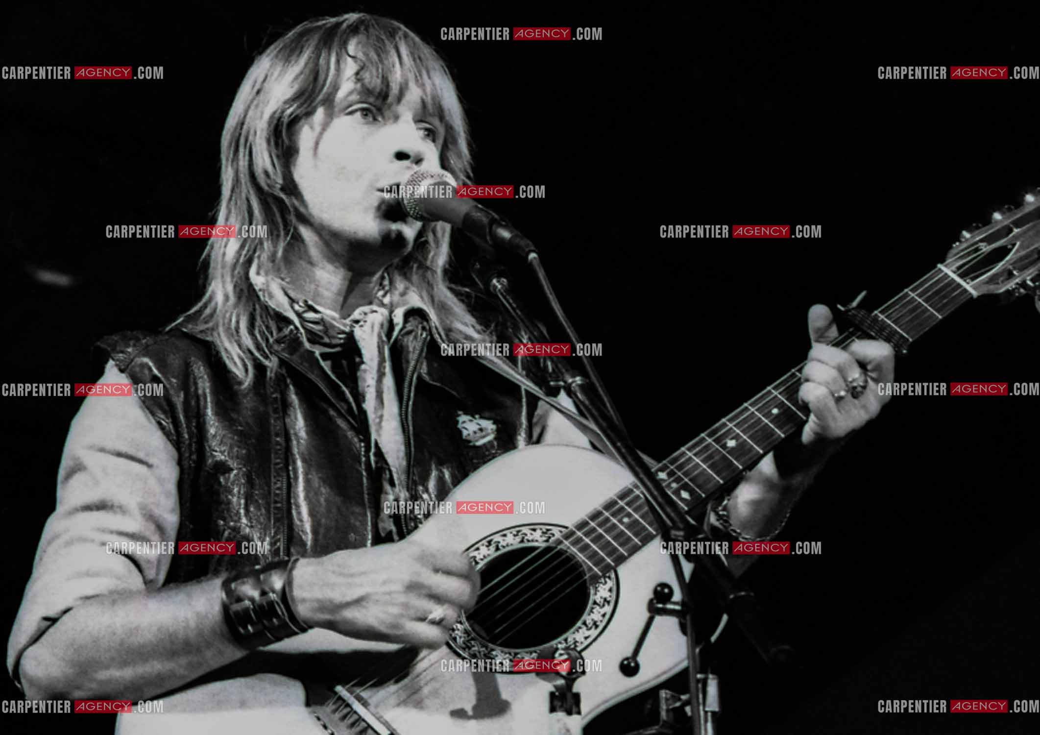 Le chanteur Renaud Séchan.