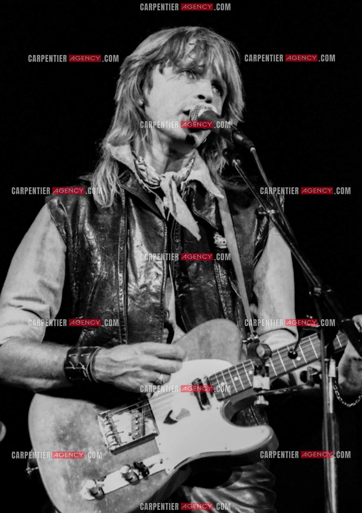 Le chanteur Renaud Séchan.