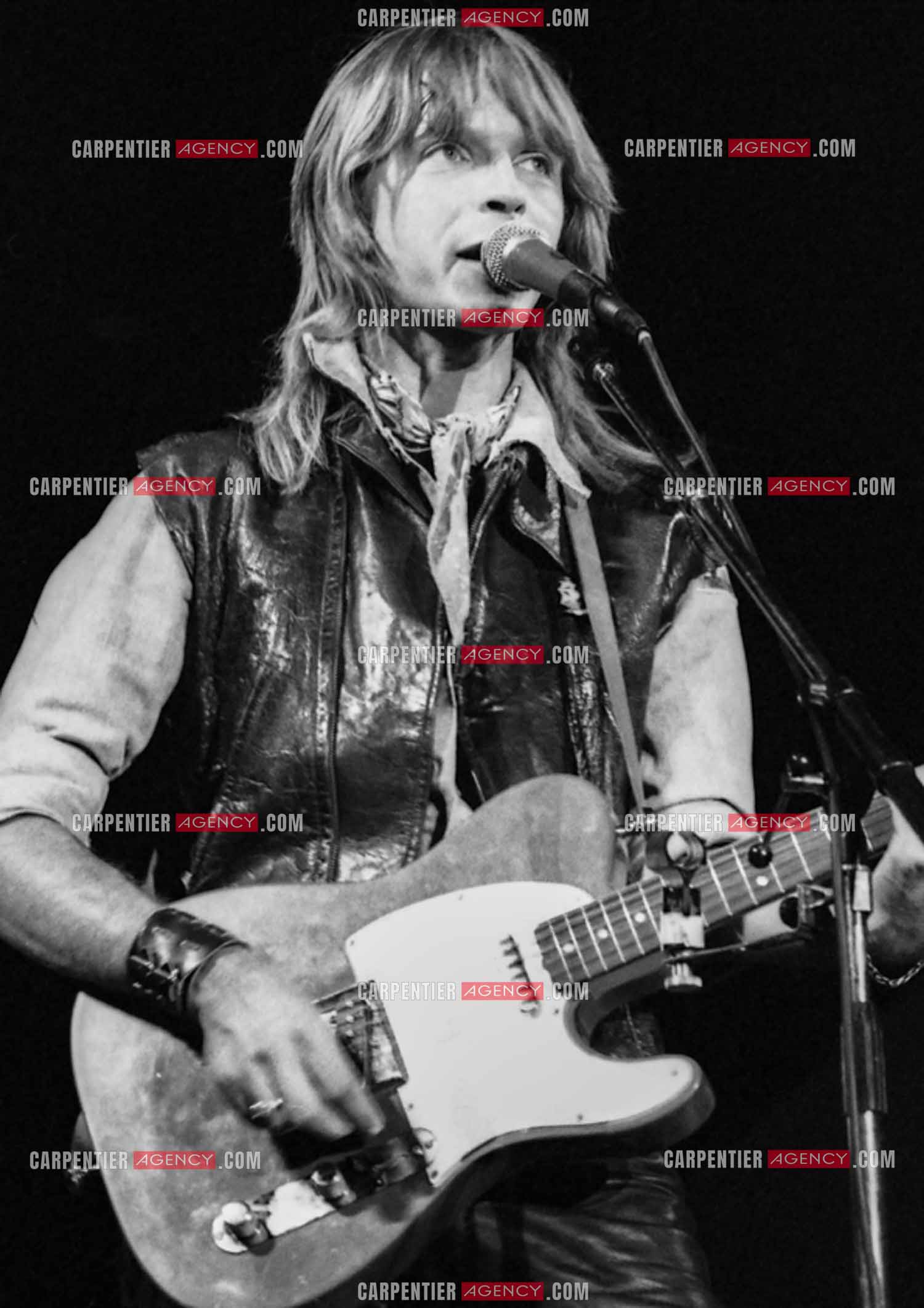 Le chanteur Renaud Séchan.