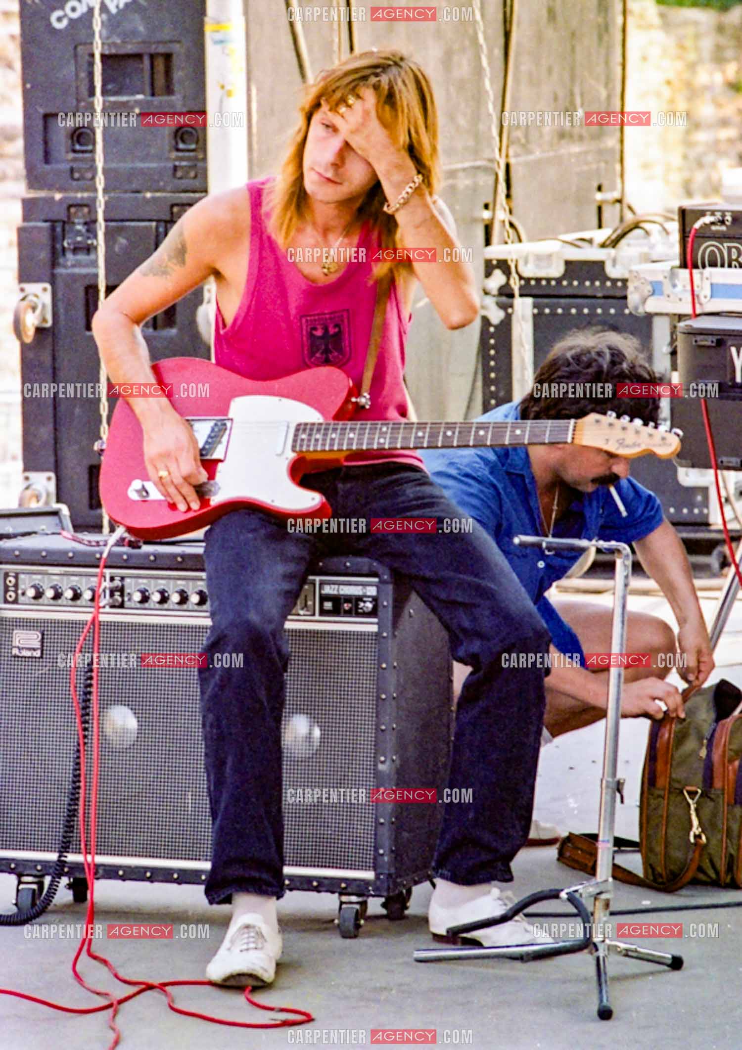 Le chanteur Renaud Séchan.