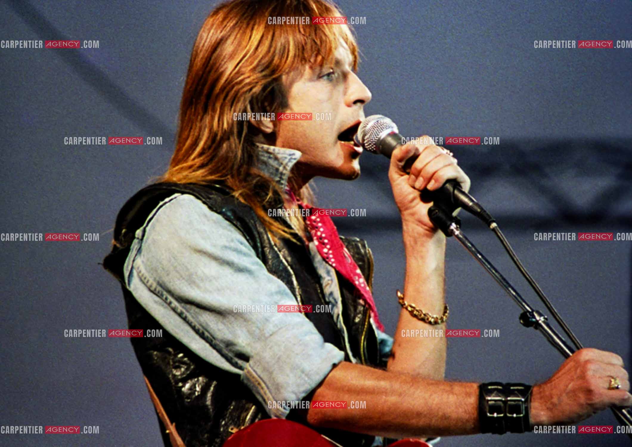 Le chanteur Renaud Séchan.