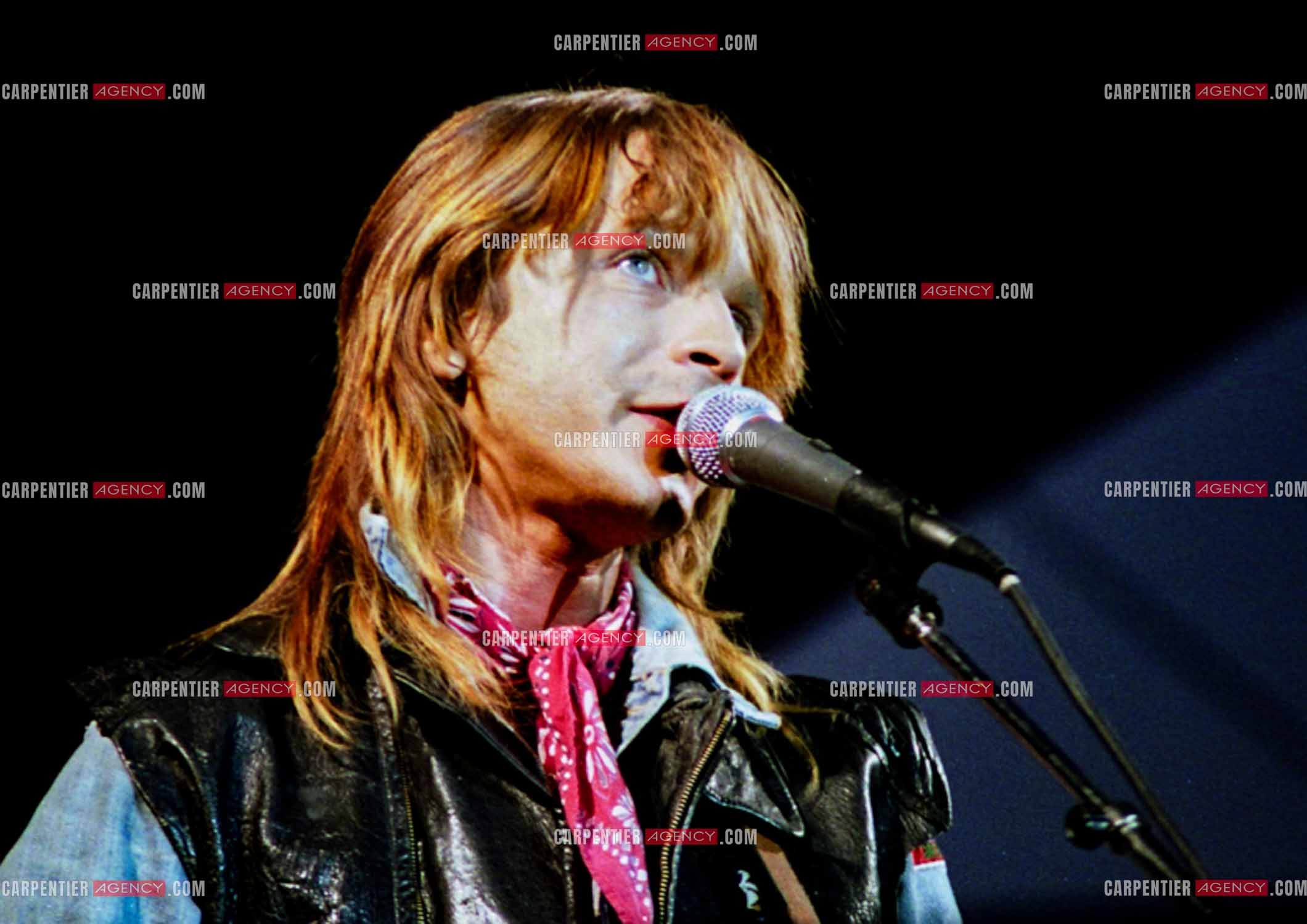 Le chanteur Renaud Séchan.