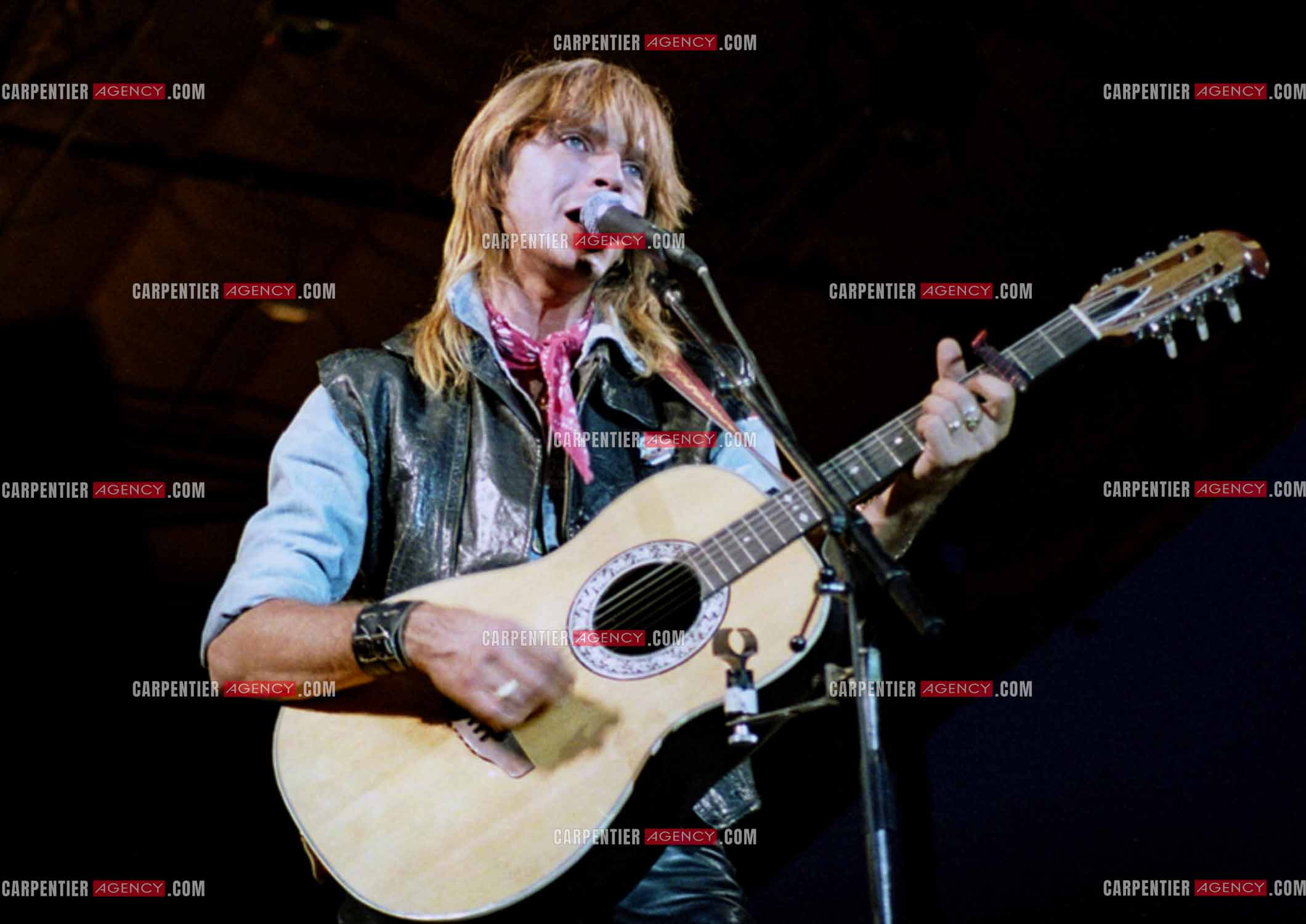 Le chanteur Renaud Séchan.