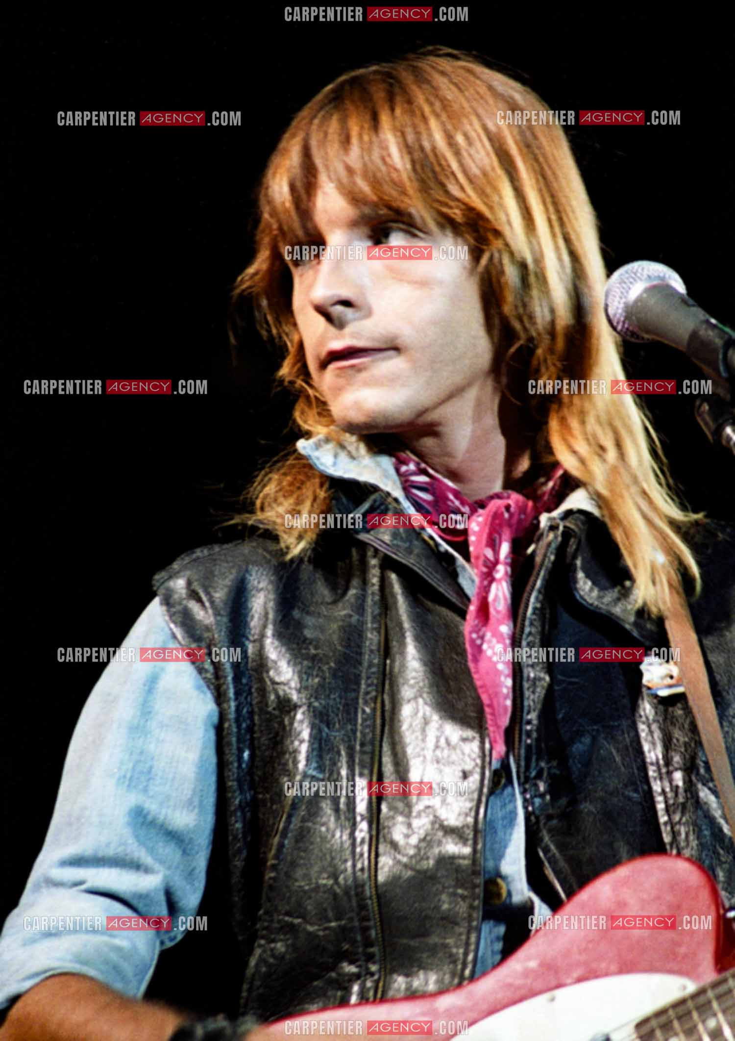 Le chanteur Renaud Séchan.