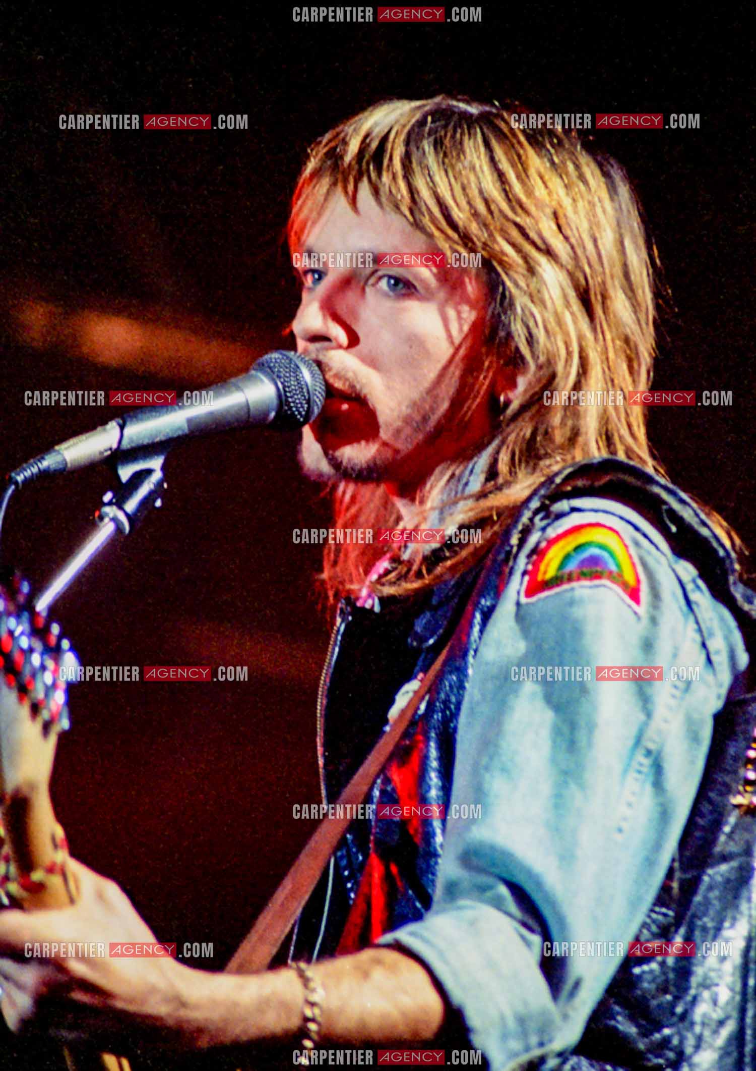 Le chanteur Renaud Séchan.