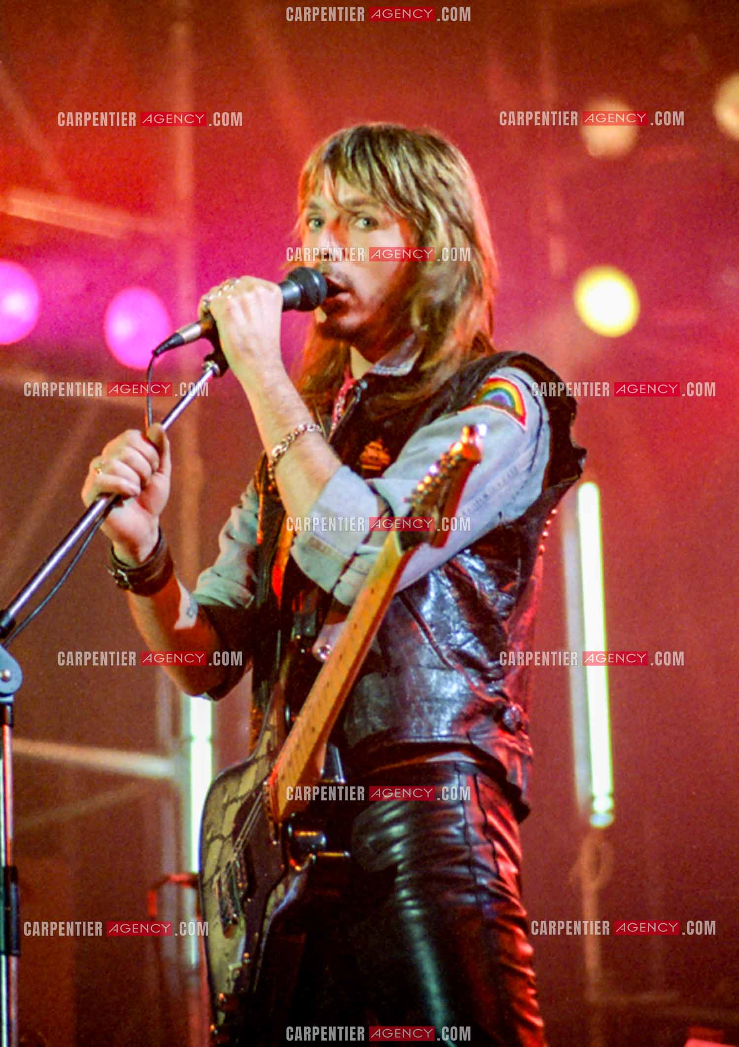 Le chanteur Renaud Séchan.