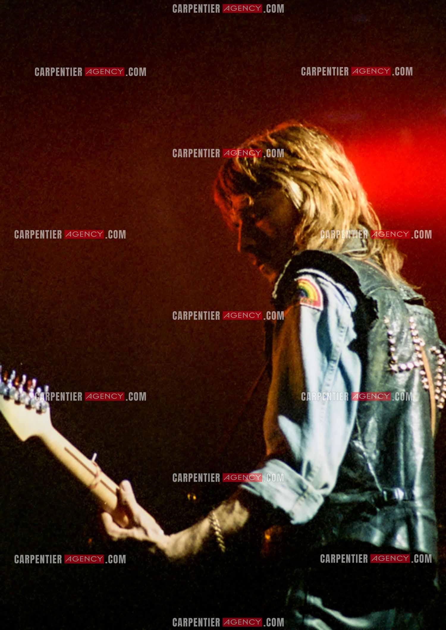 Le chanteur Renaud Séchan.