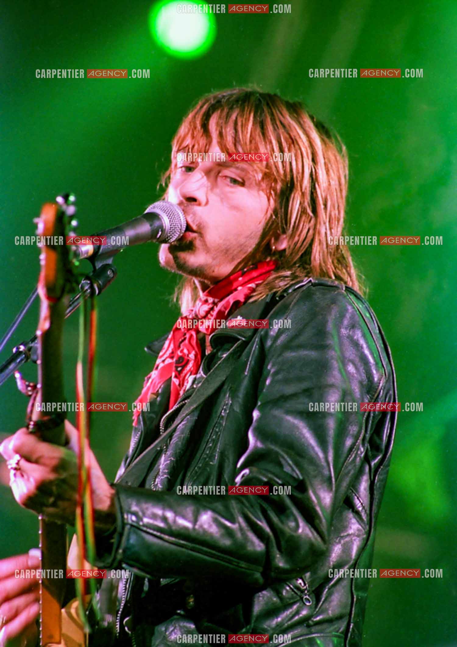 Le chanteur Renaud Séchan.