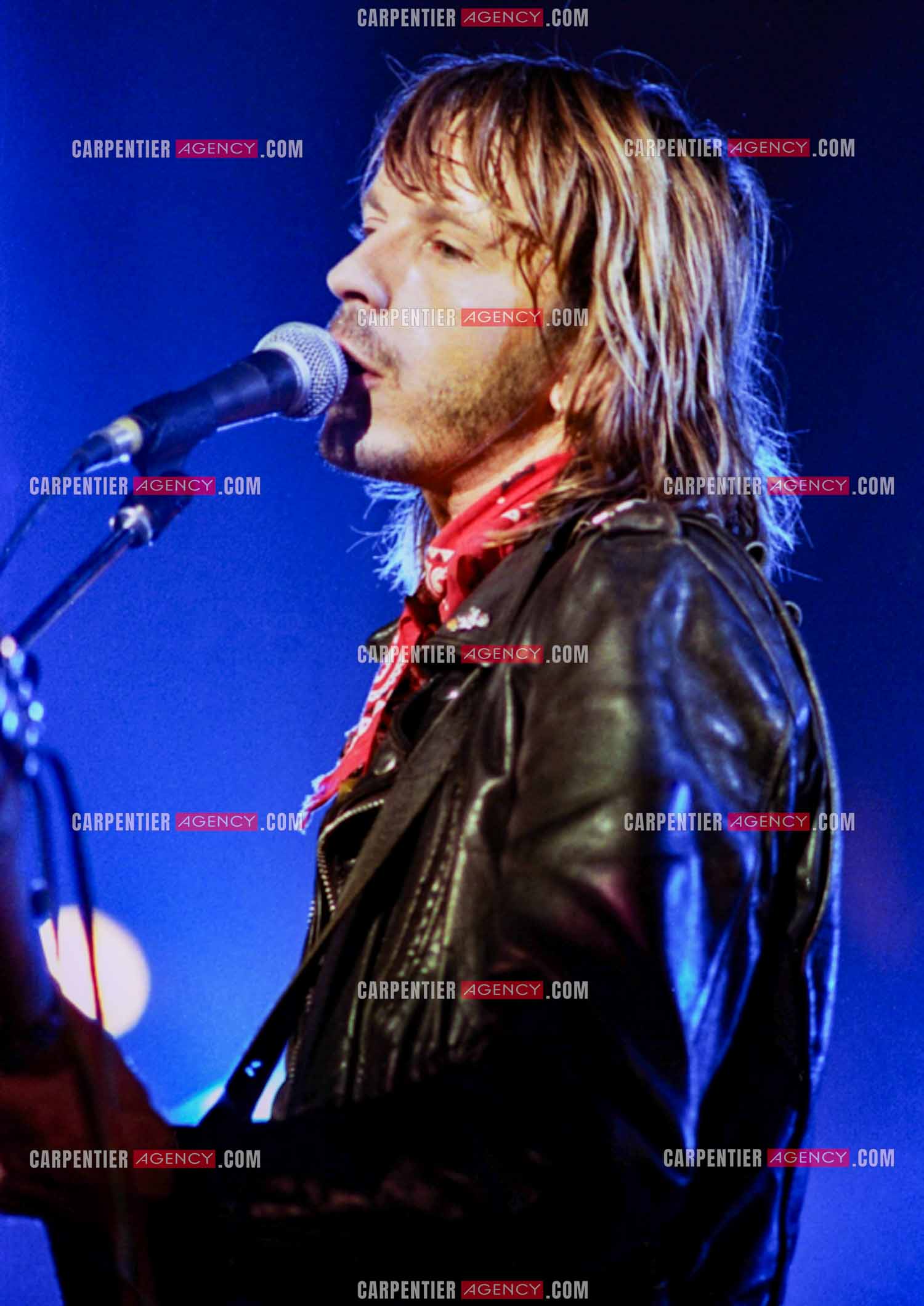 Le chanteur Renaud Séchan.