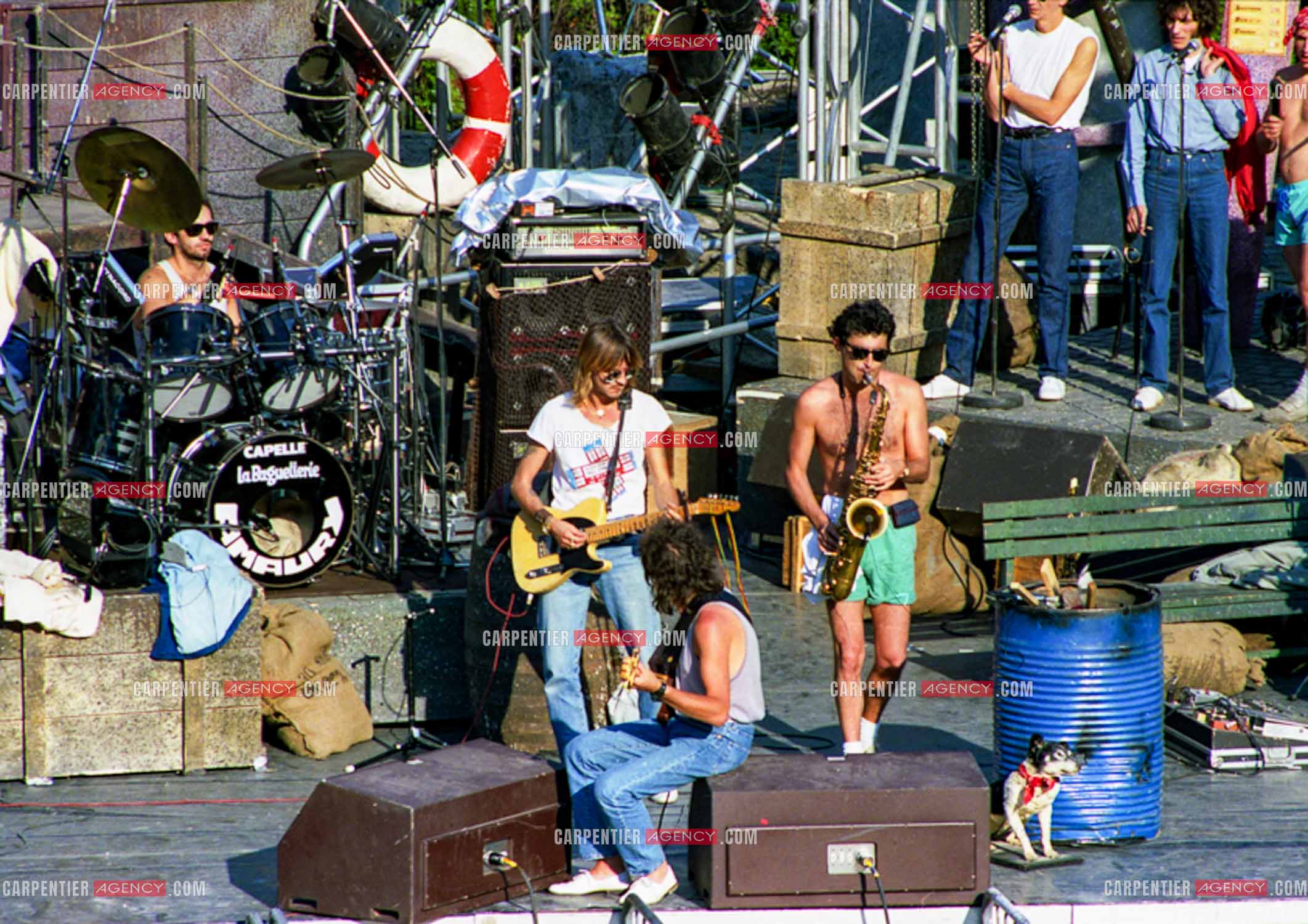 Le chanteur Renaud Séchan.