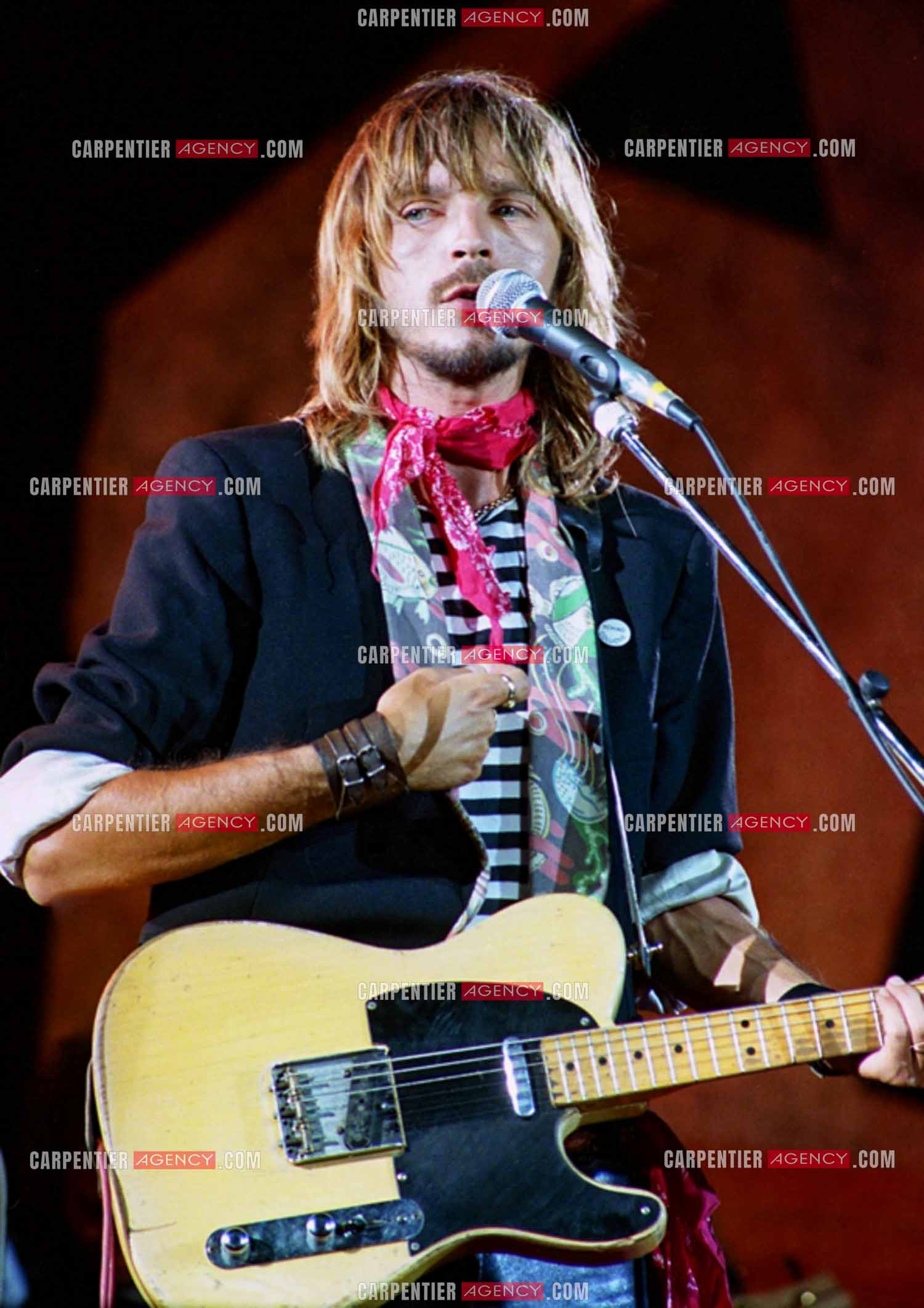 Le chanteur Renaud Séchan.