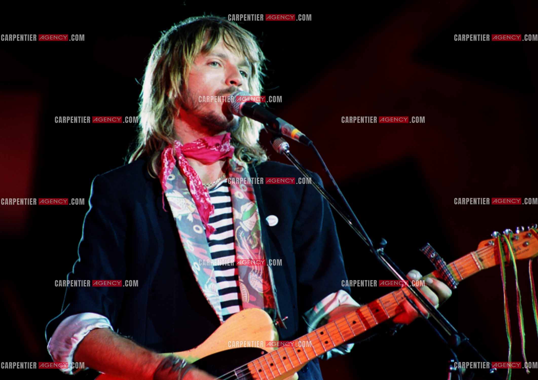 Le chanteur Renaud Séchan.