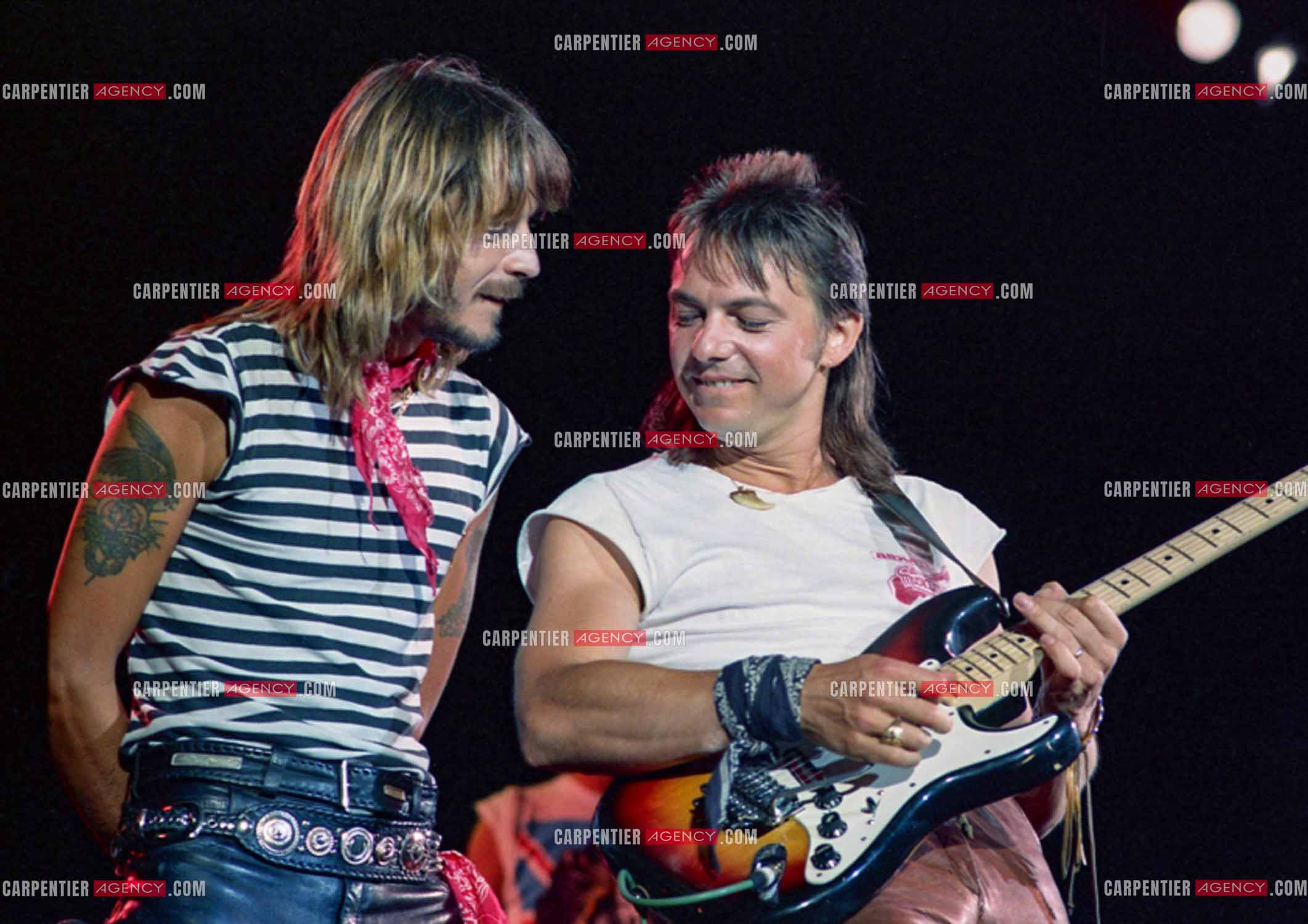 Le chanteur Renaud Séchan.