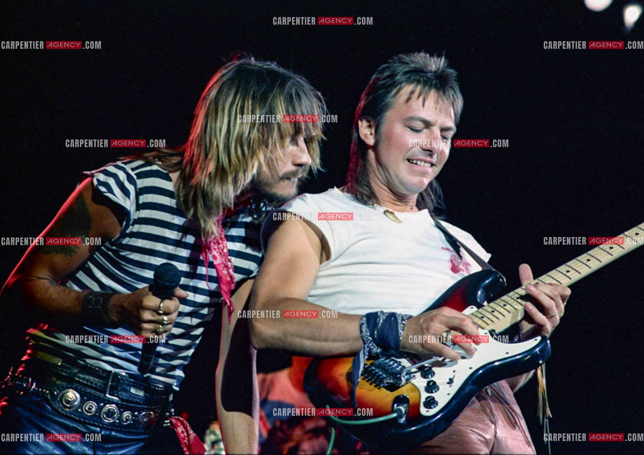 Le chanteur Renaud Séchan.