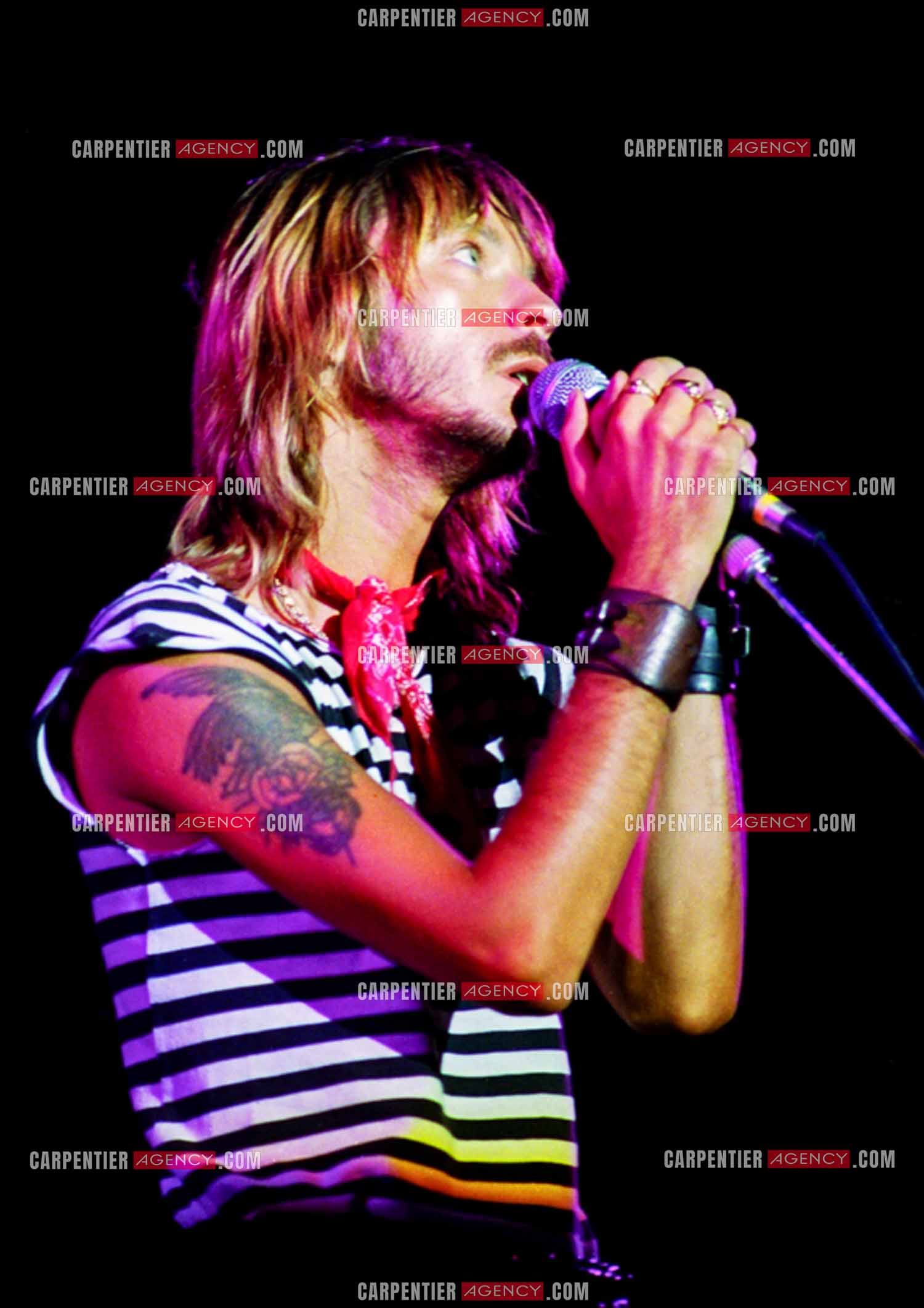 Le chanteur Renaud Séchan.