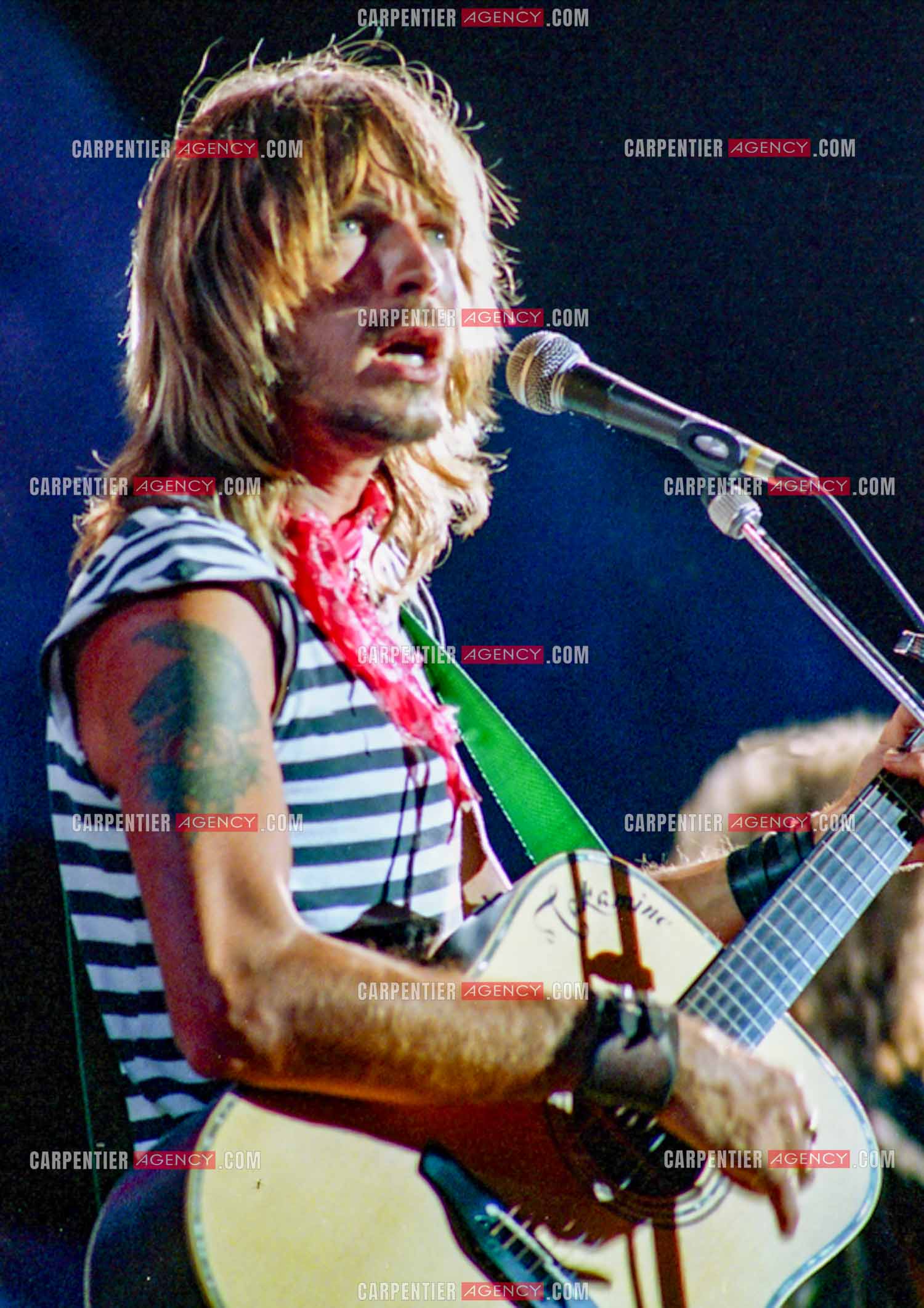 Le chanteur Renaud Séchan.