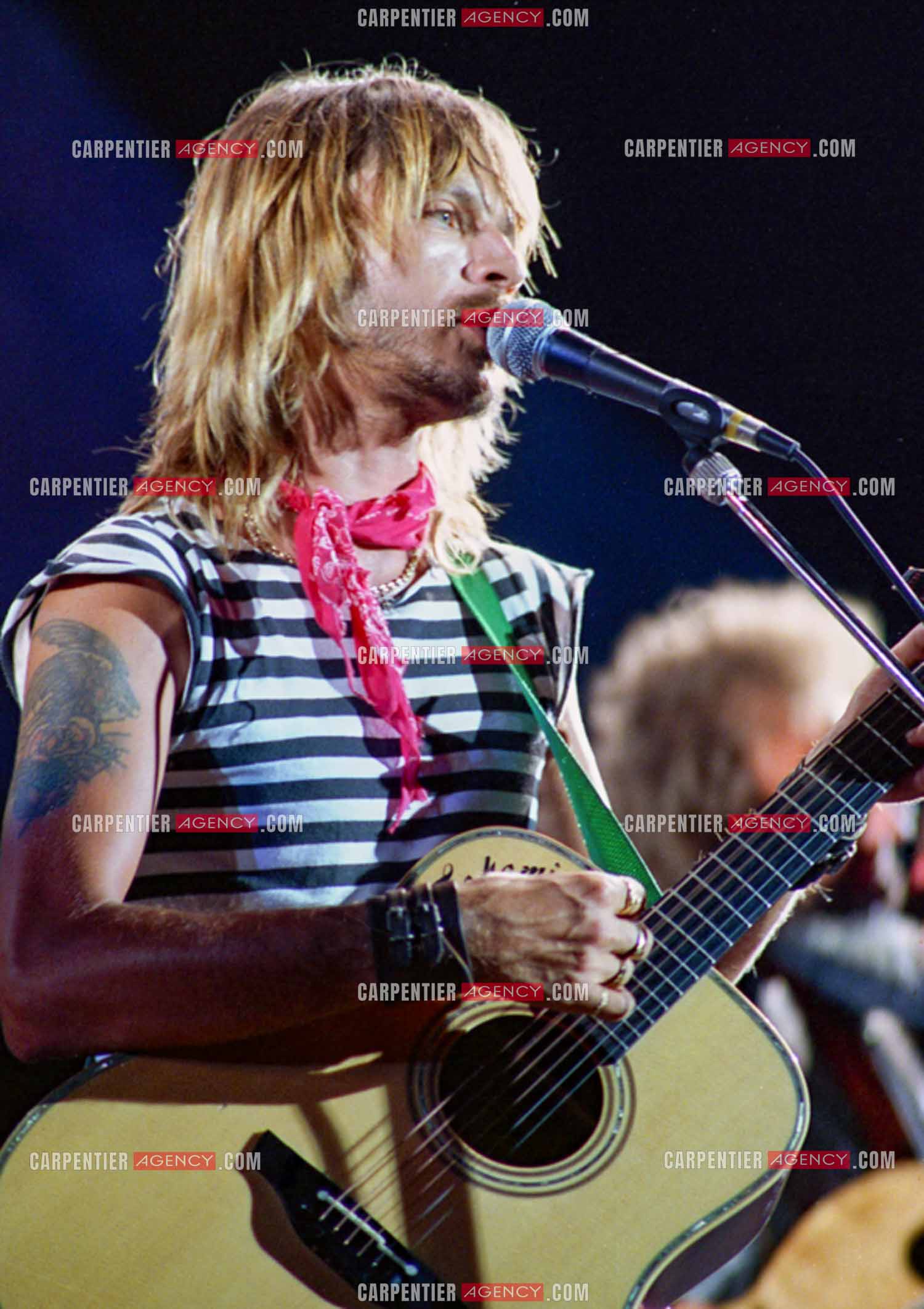 Le chanteur Renaud Séchan.