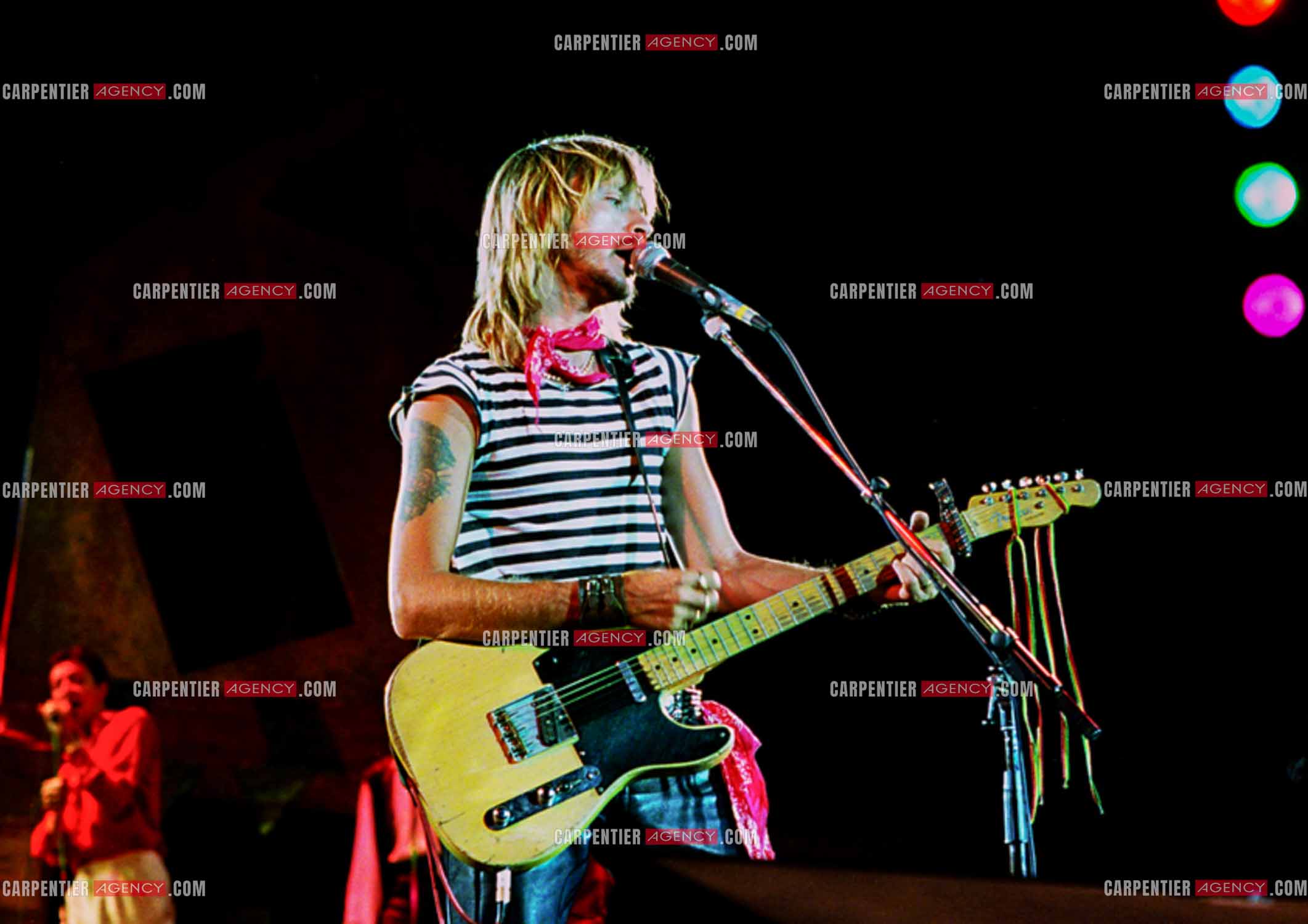 Le chanteur Renaud Séchan.