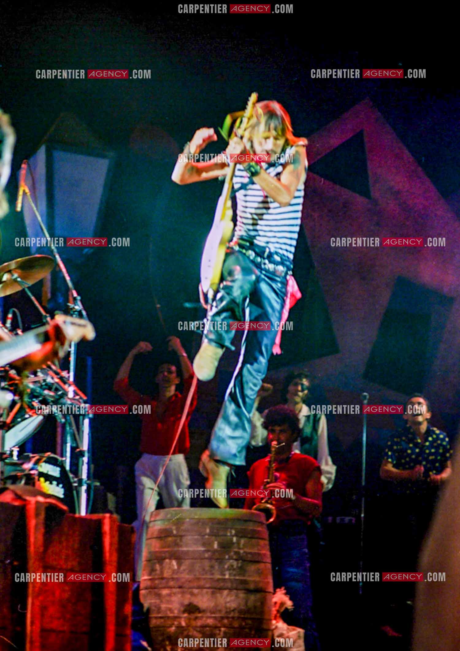 Le chanteur Renaud Séchan.