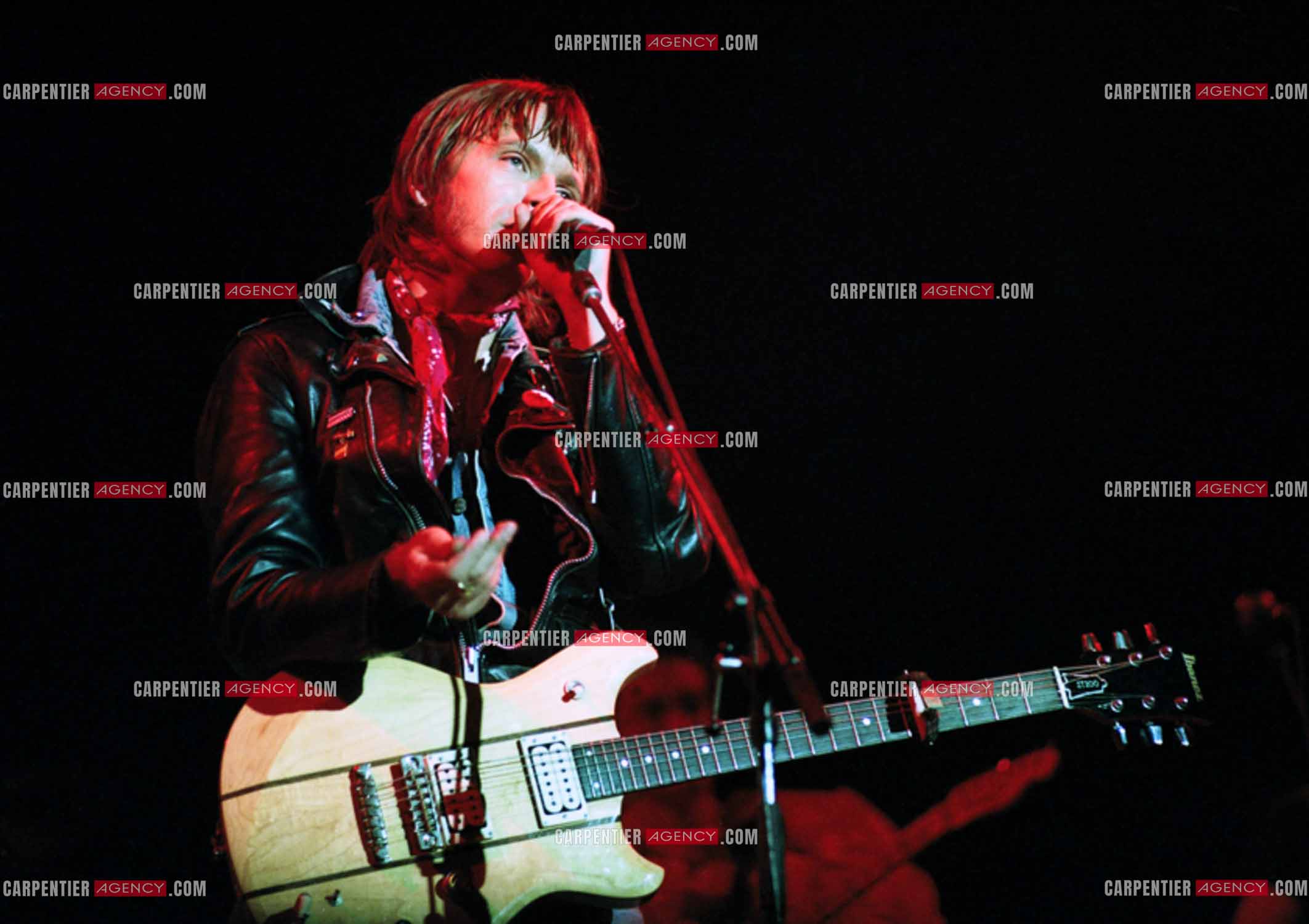 Le chanteur Renaud Séchan en concert.