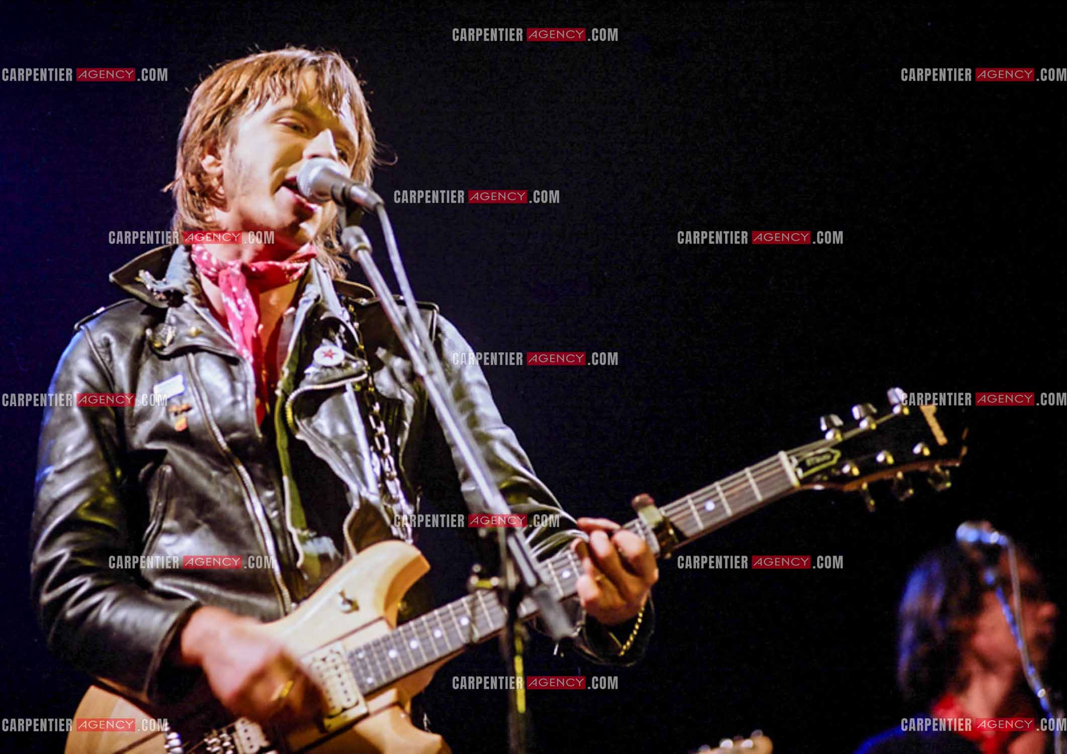 Le chanteur Renaud Séchan en concert.