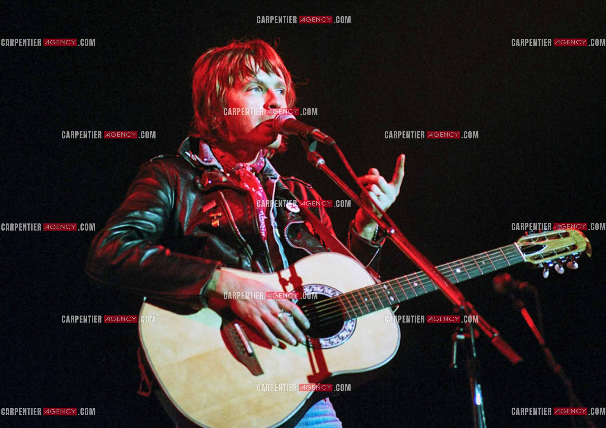 Le chanteur Renaud Séchan en concert.