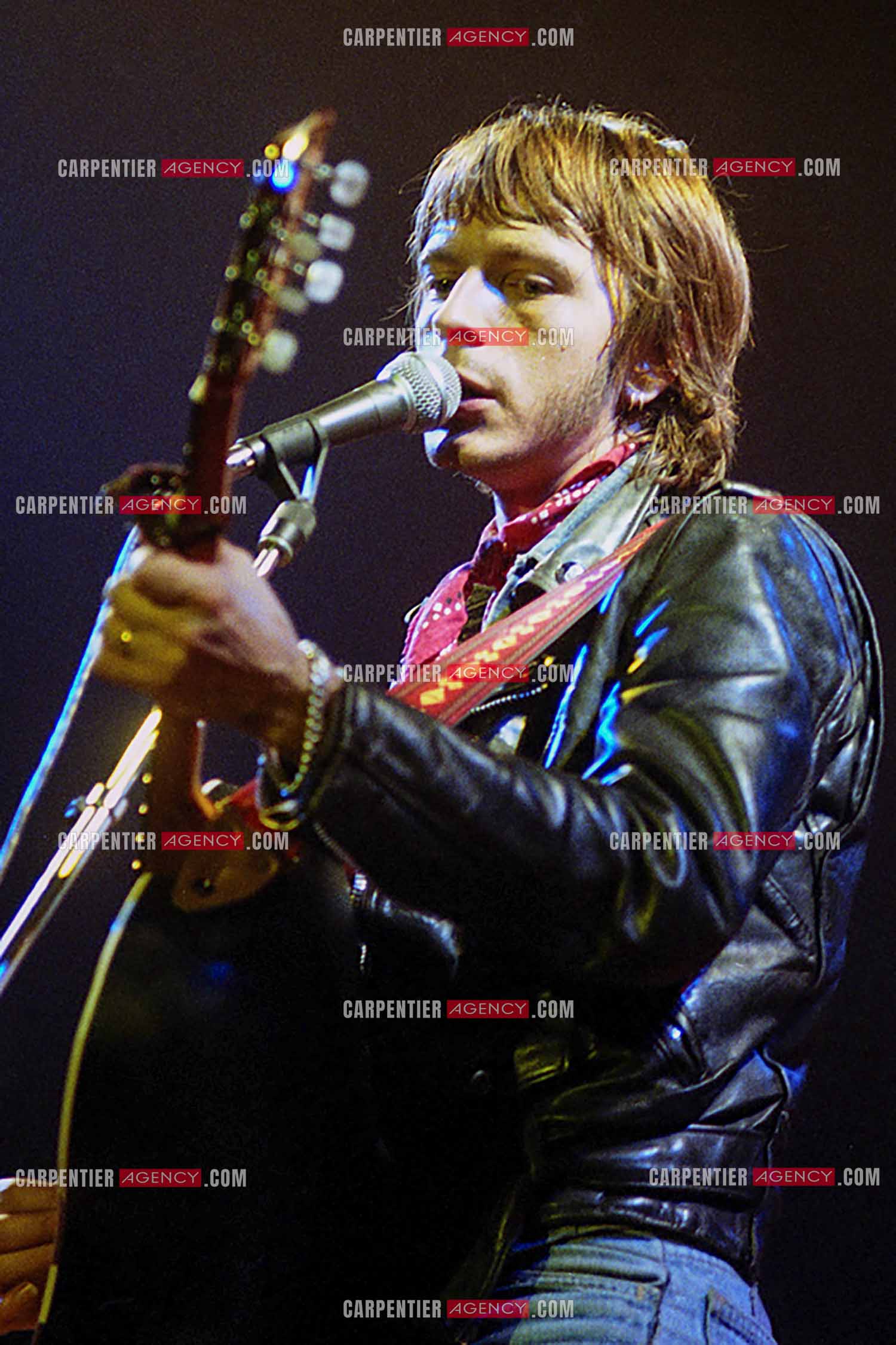 Le chanteur Renaud Séchan en concert.