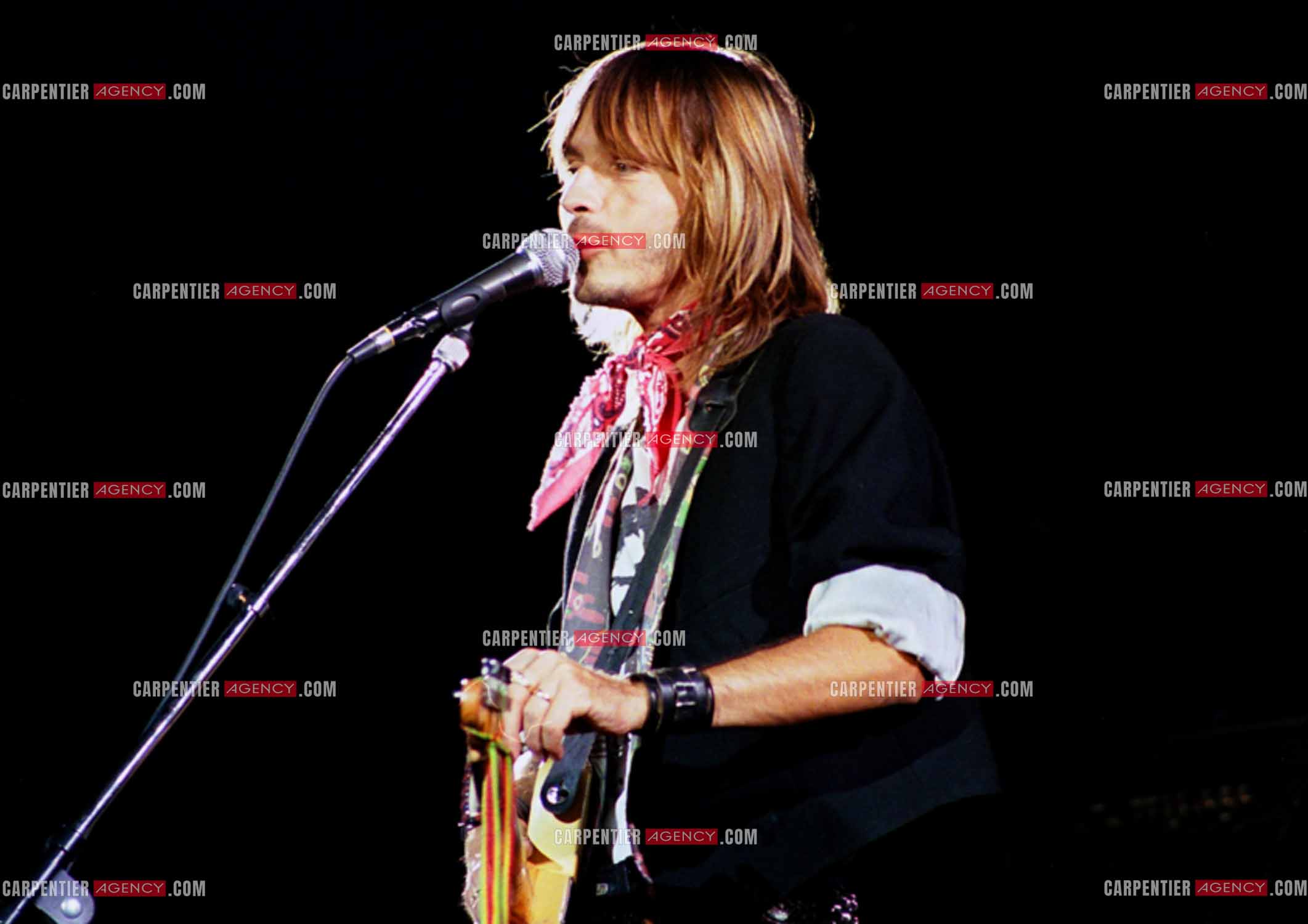 Le chanteur Renaud Séchan en concert.