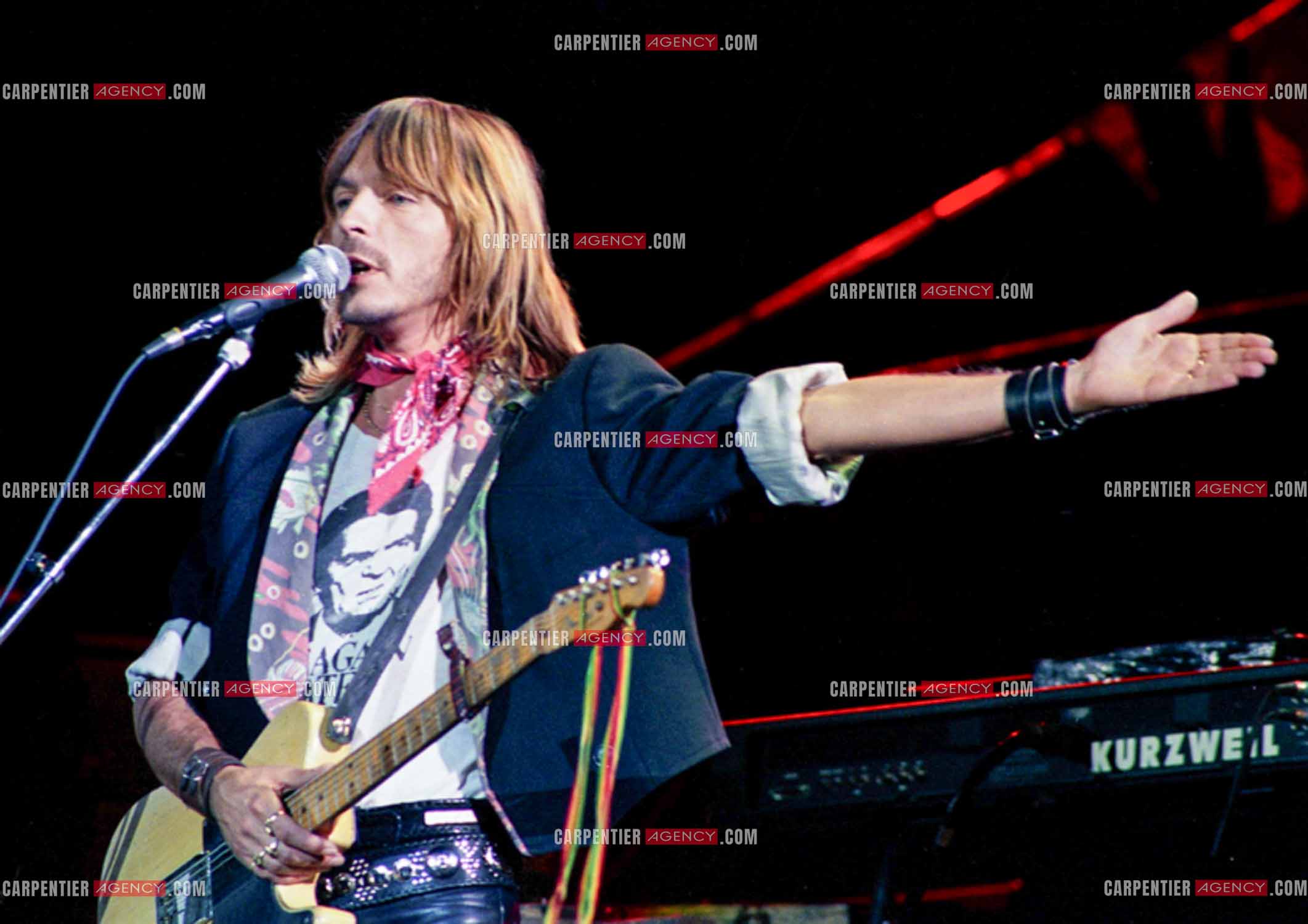 Le chanteur Renaud Séchan en concert.