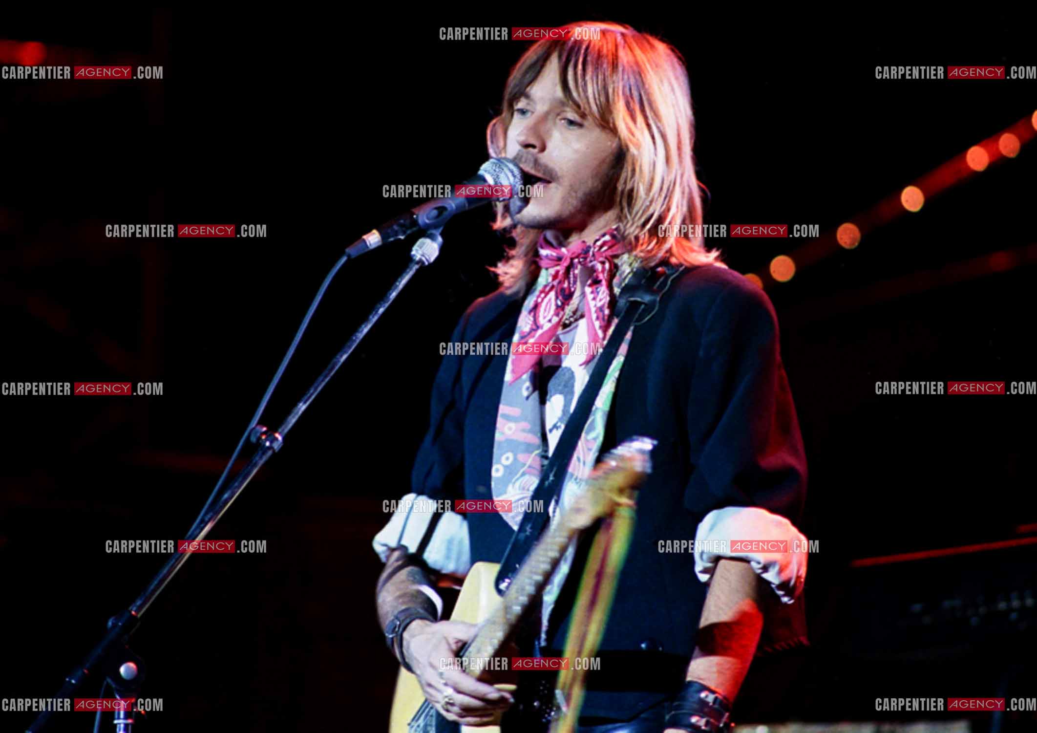 Le chanteur Renaud Séchan en concert.