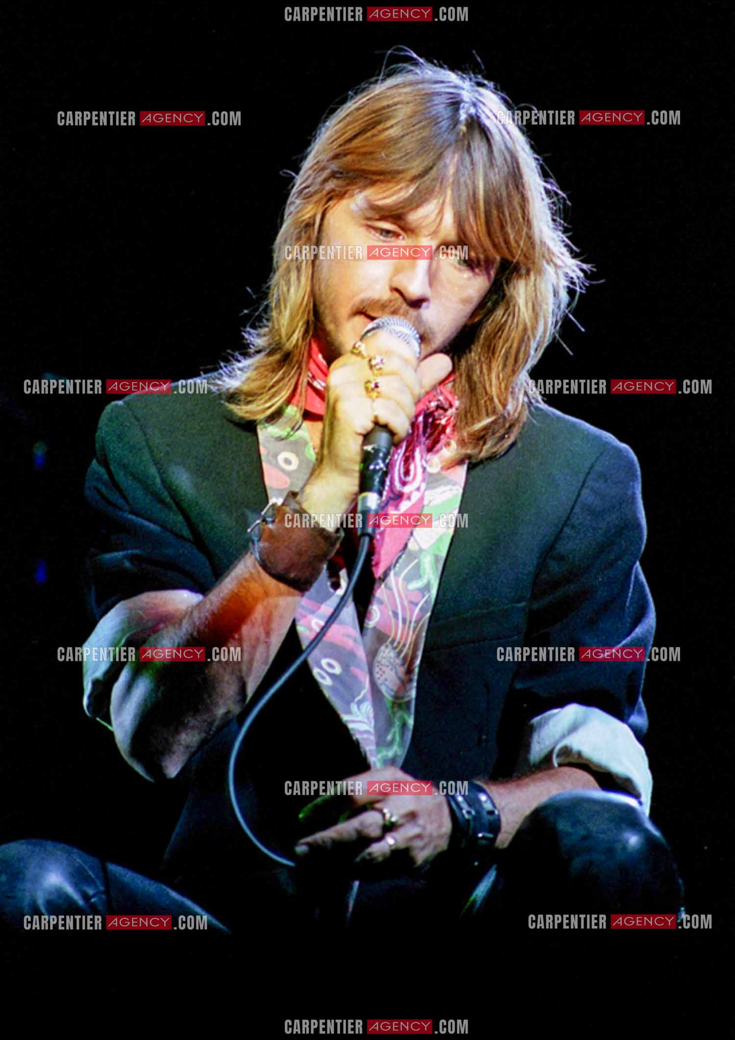 Le chanteur Renaud Séchan en concert.