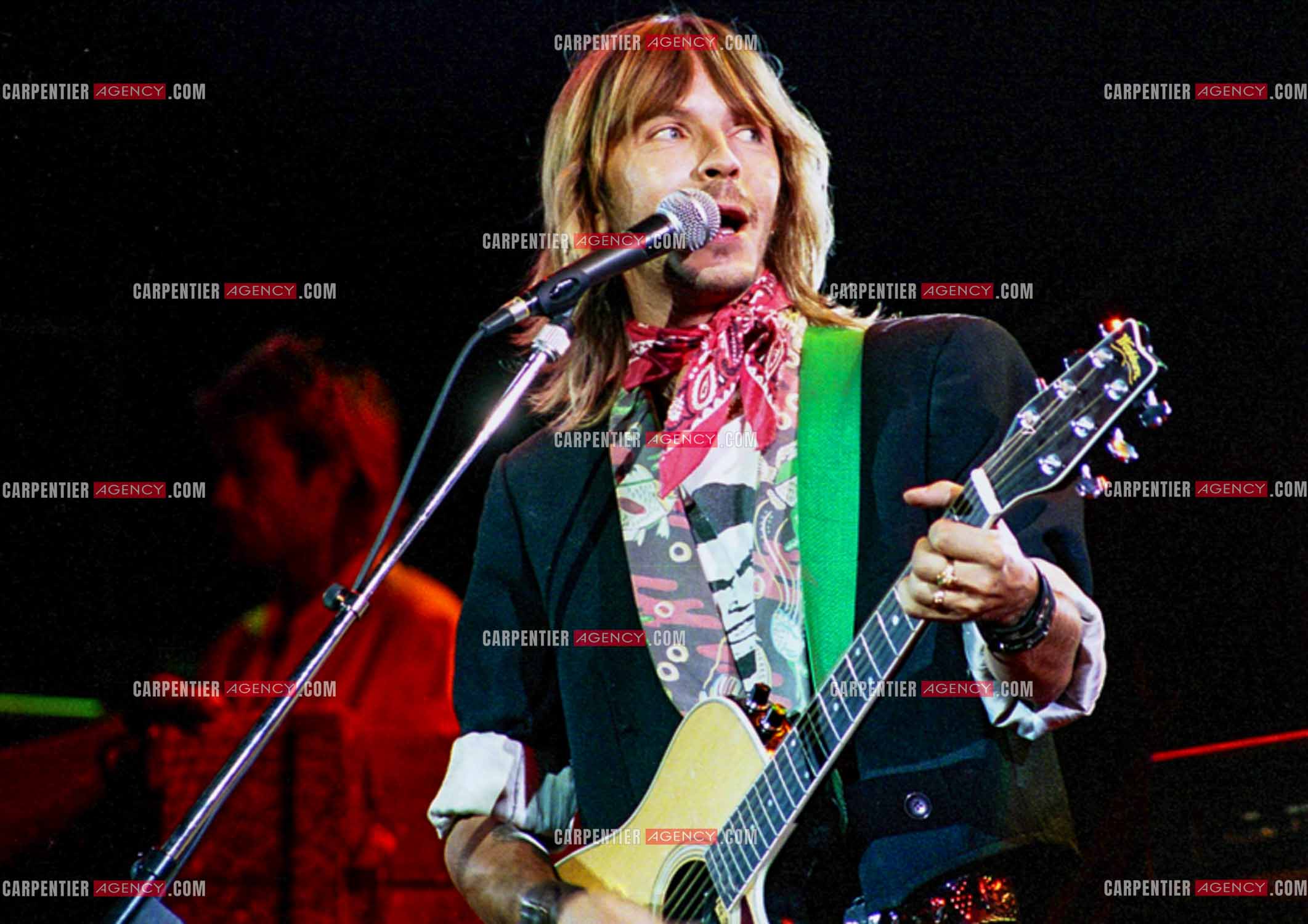 Le chanteur Renaud Séchan en concert.