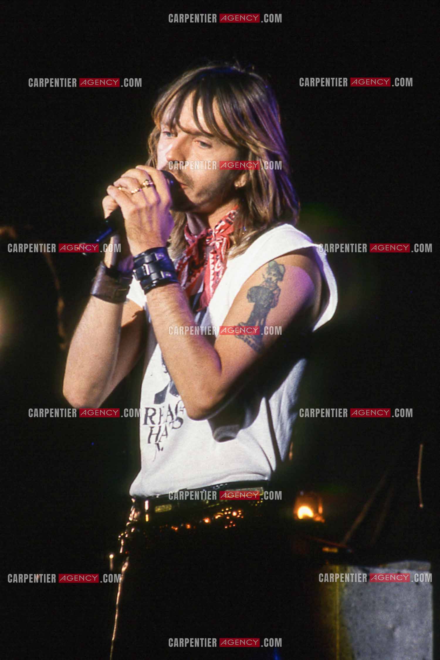 Le chanteur Renaud Séchan en concert.