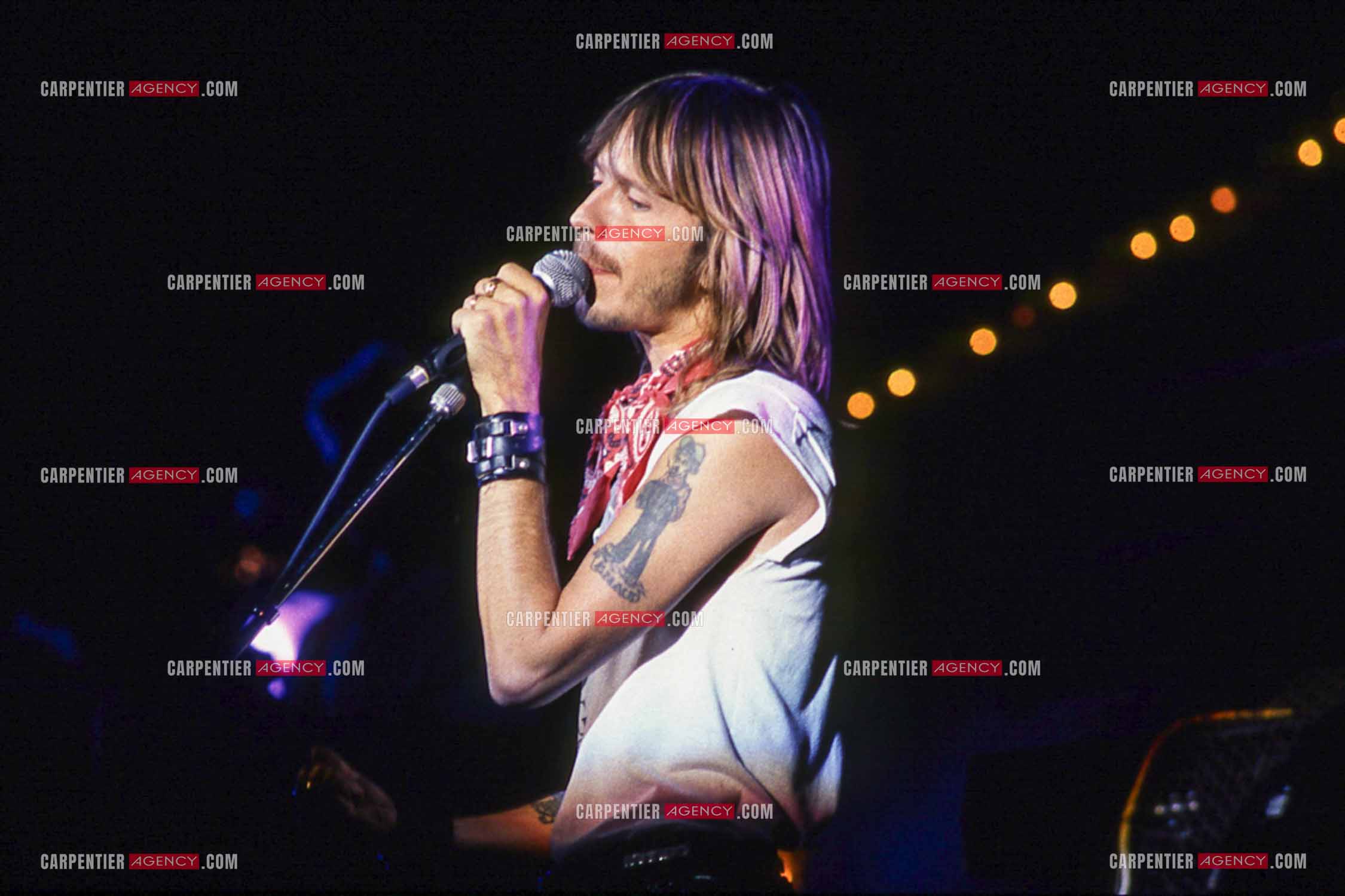 Le chanteur Renaud Séchan en concert.
