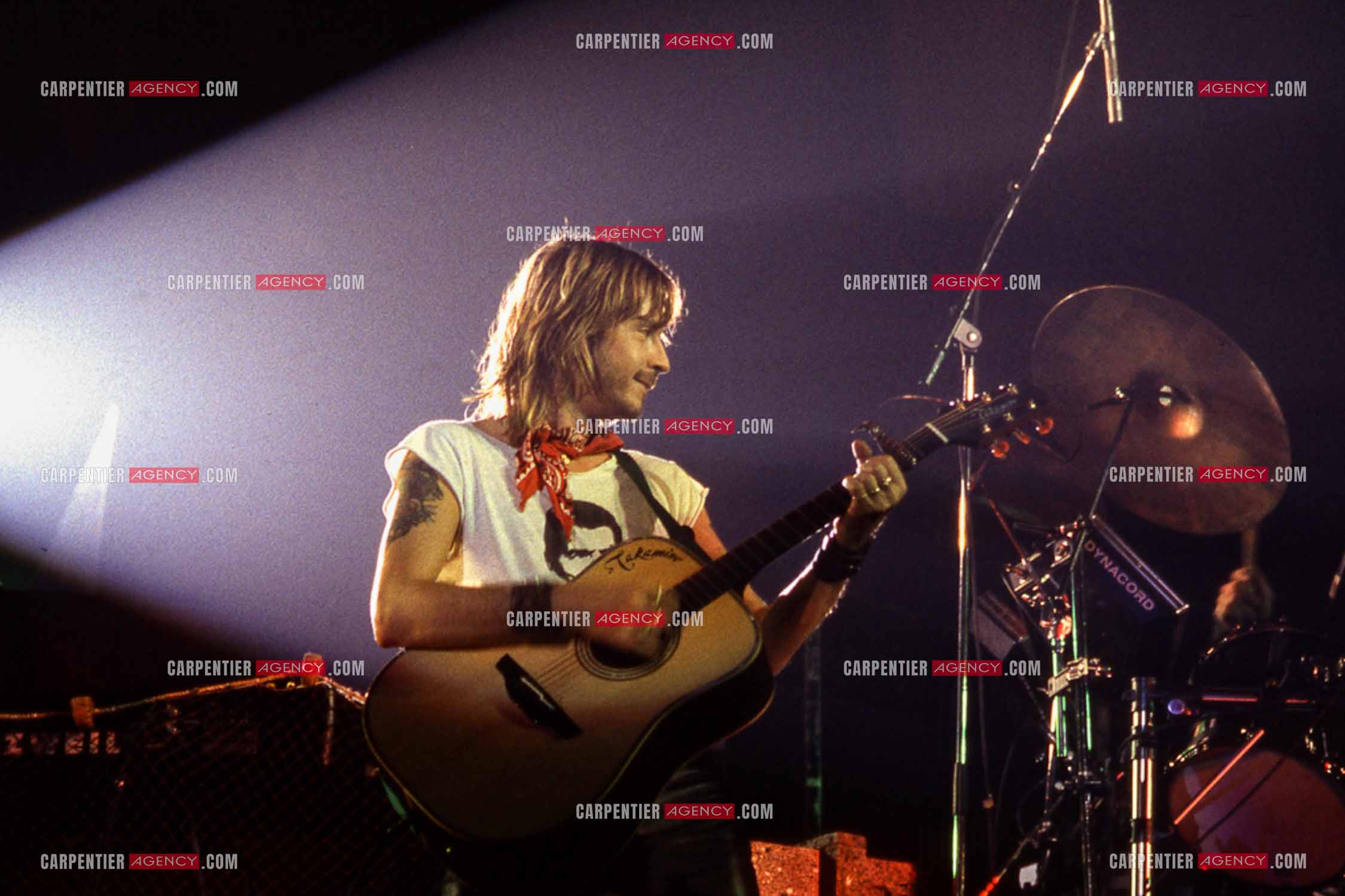 Le chanteur Renaud Séchan en concert.