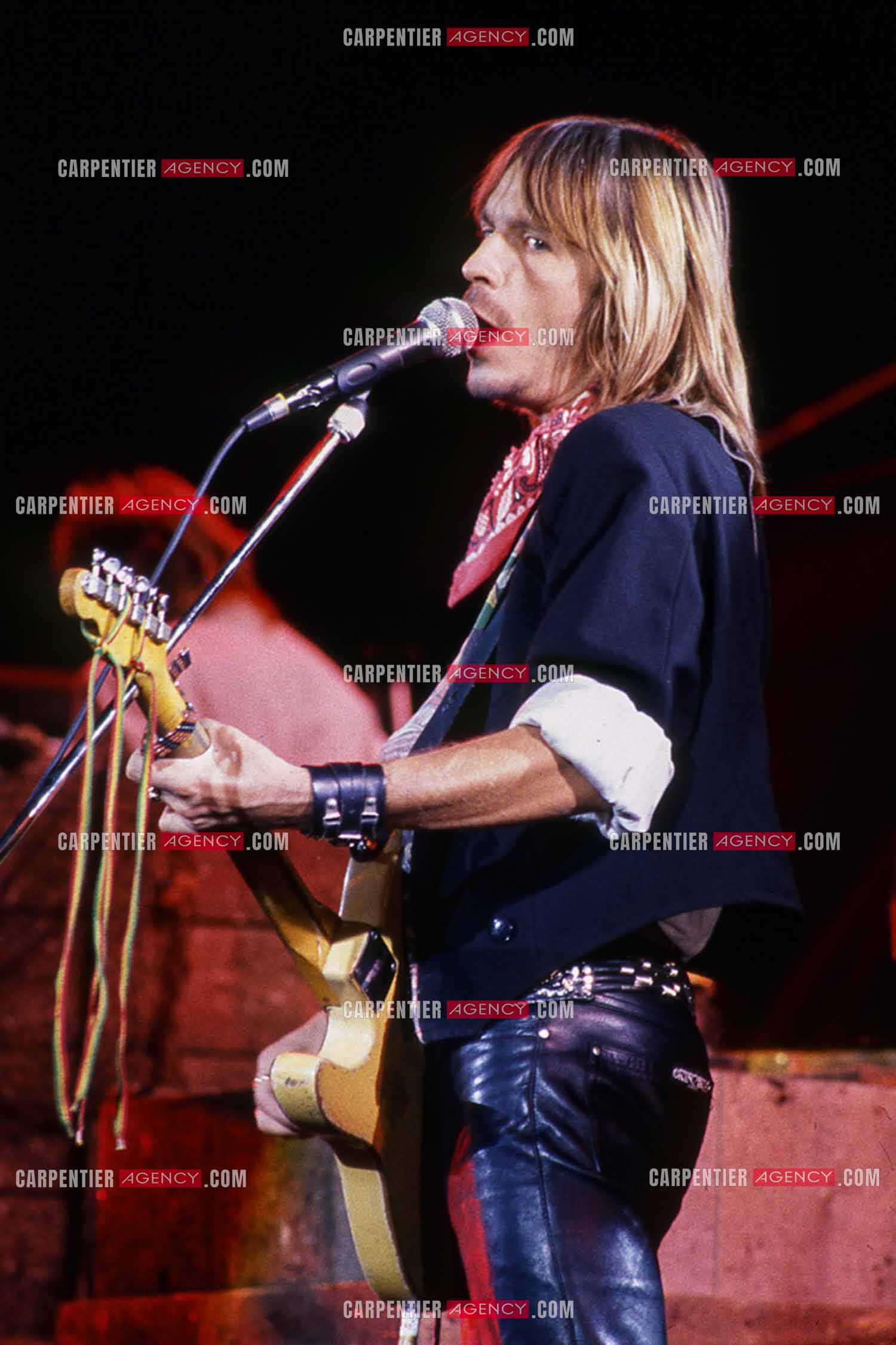 Le chanteur Renaud Séchan en concert.